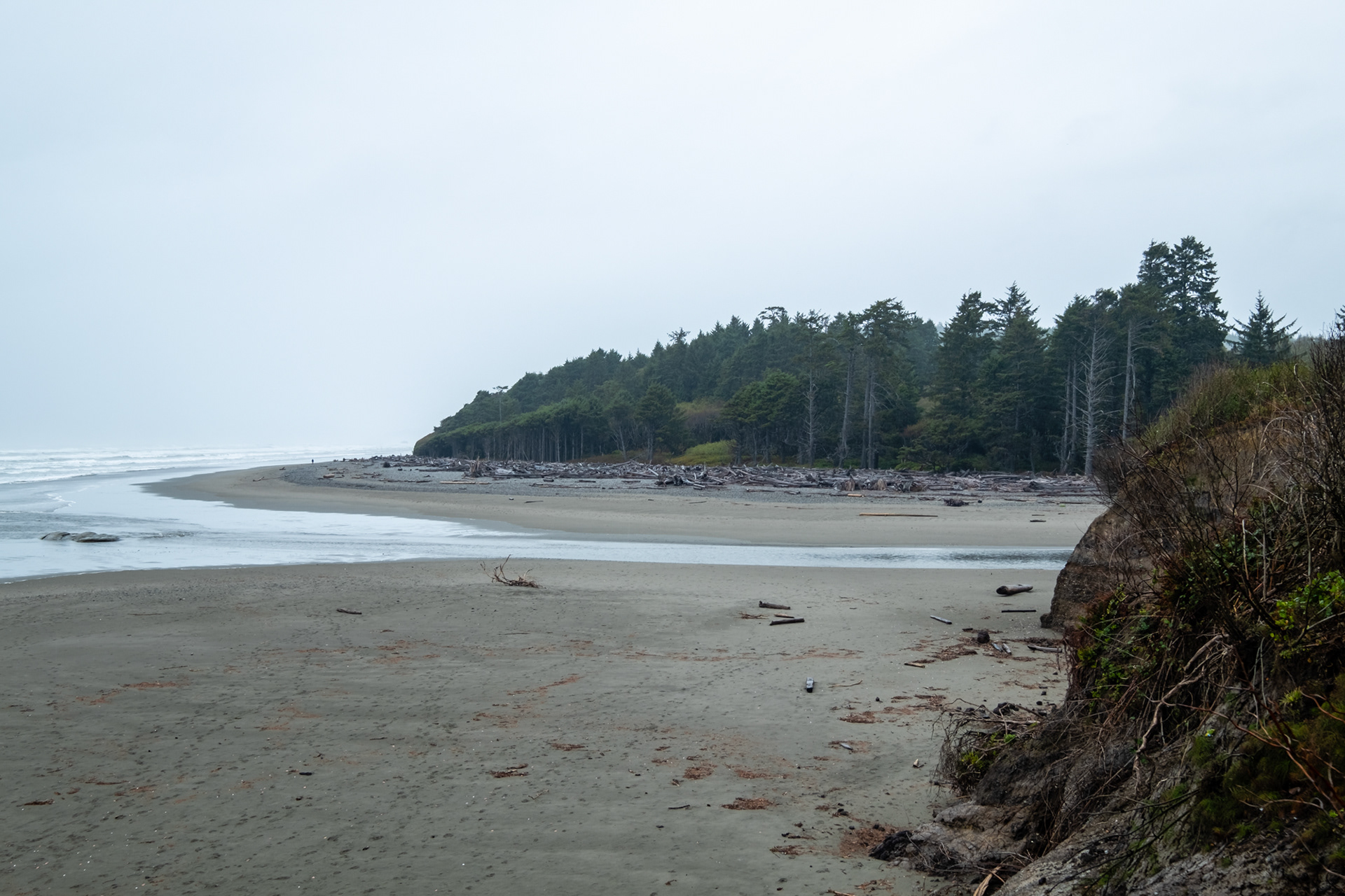 Kalaloch - Kalaloch Rocks - Kalaloch creek