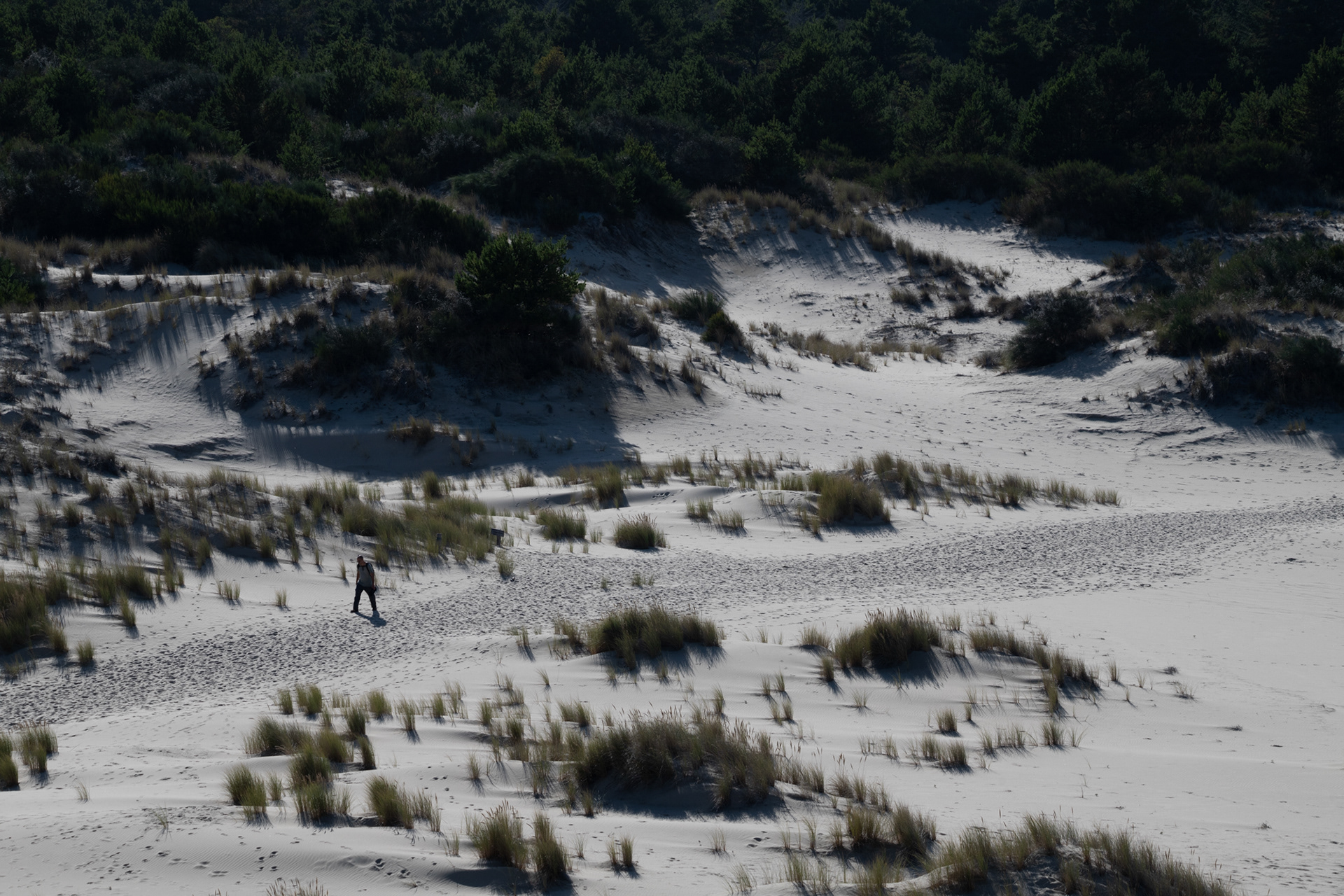 Dunas en la playa Umpqua