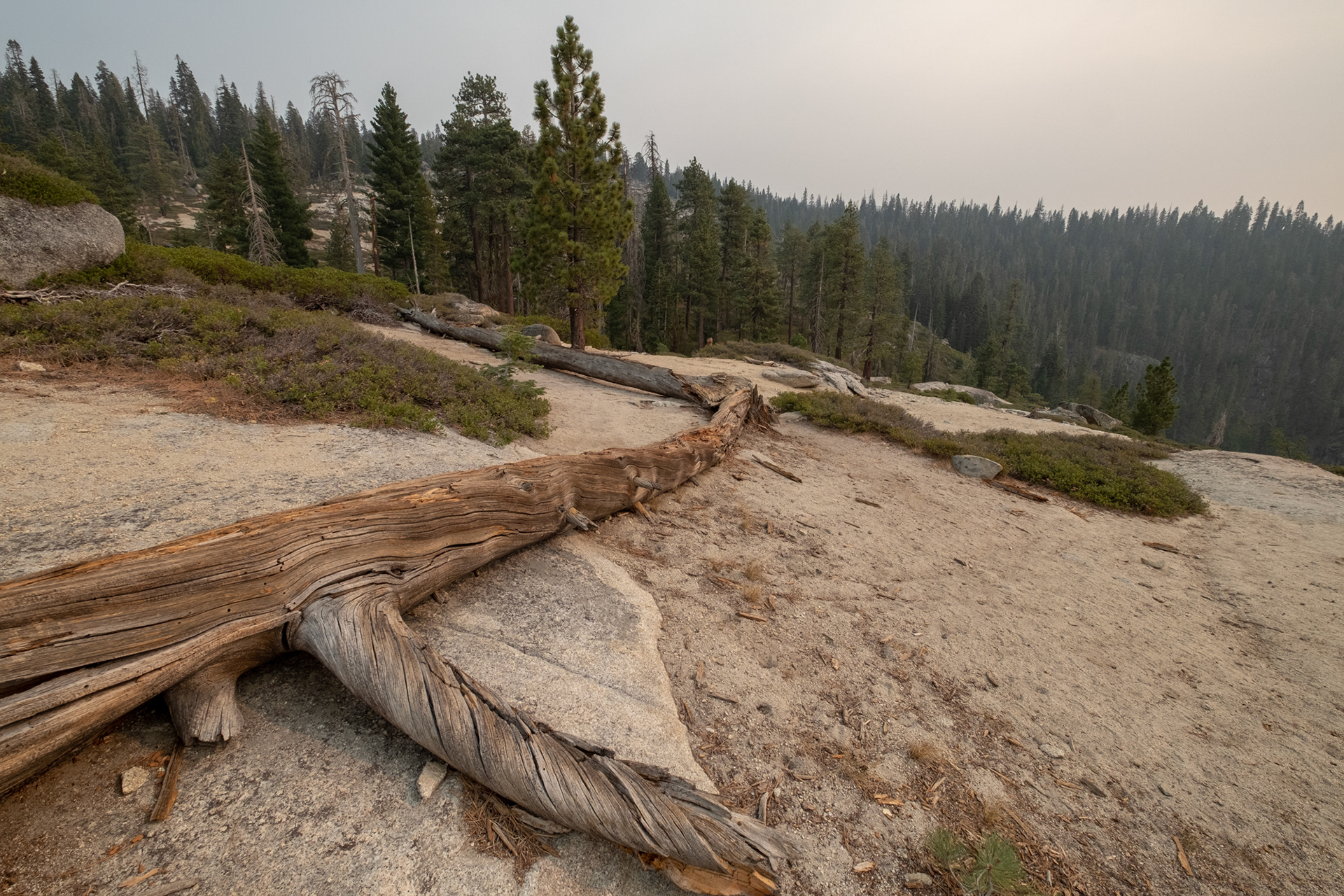 Yosemite -  Taft Point