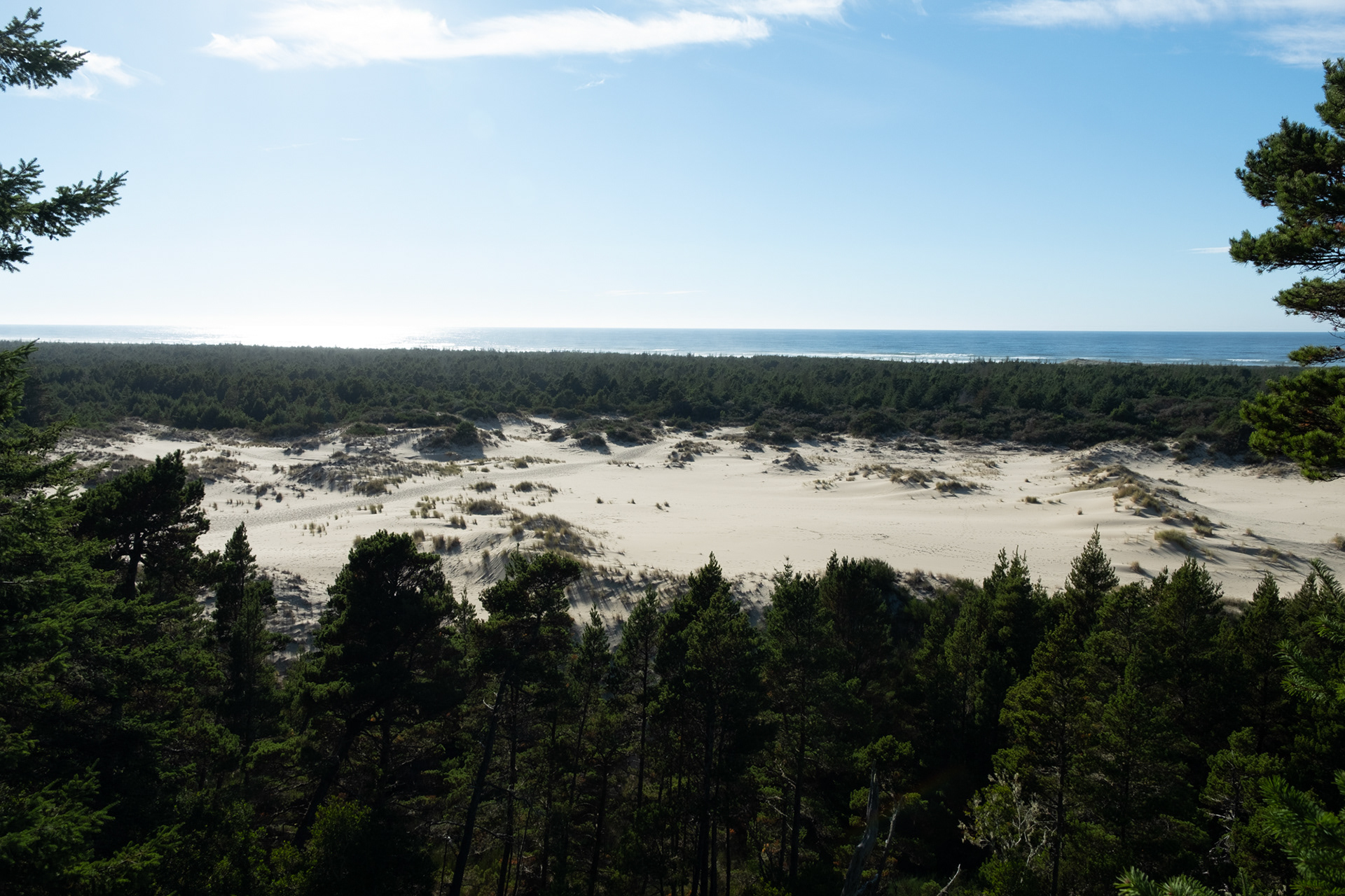 Dunas en la playa Umpqua