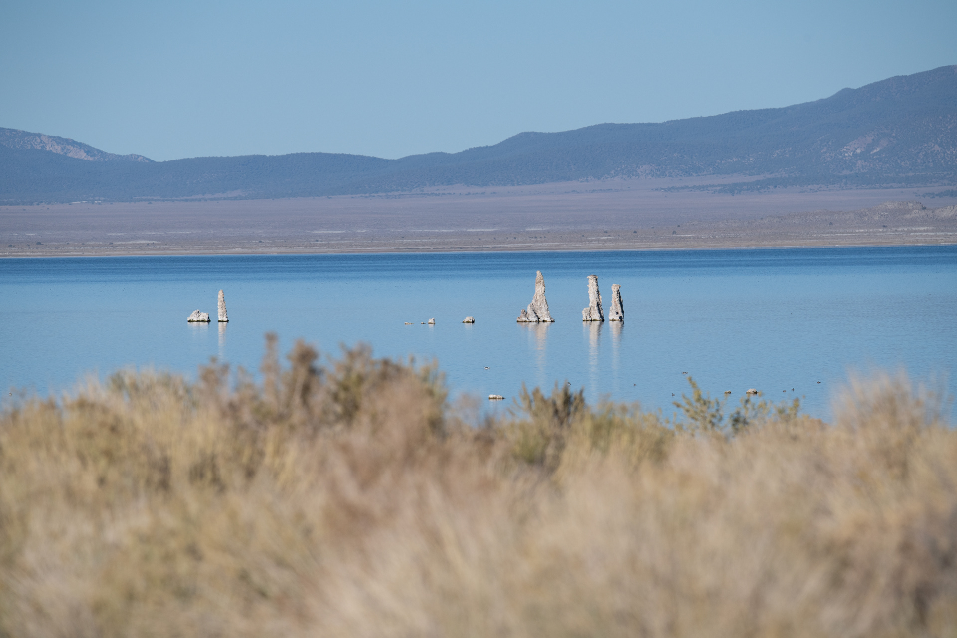 Mono Lake - columnas se producen por agua dulce subterranea, que sale por debajo del lago, y en contacto con el agua salida va generando una columna