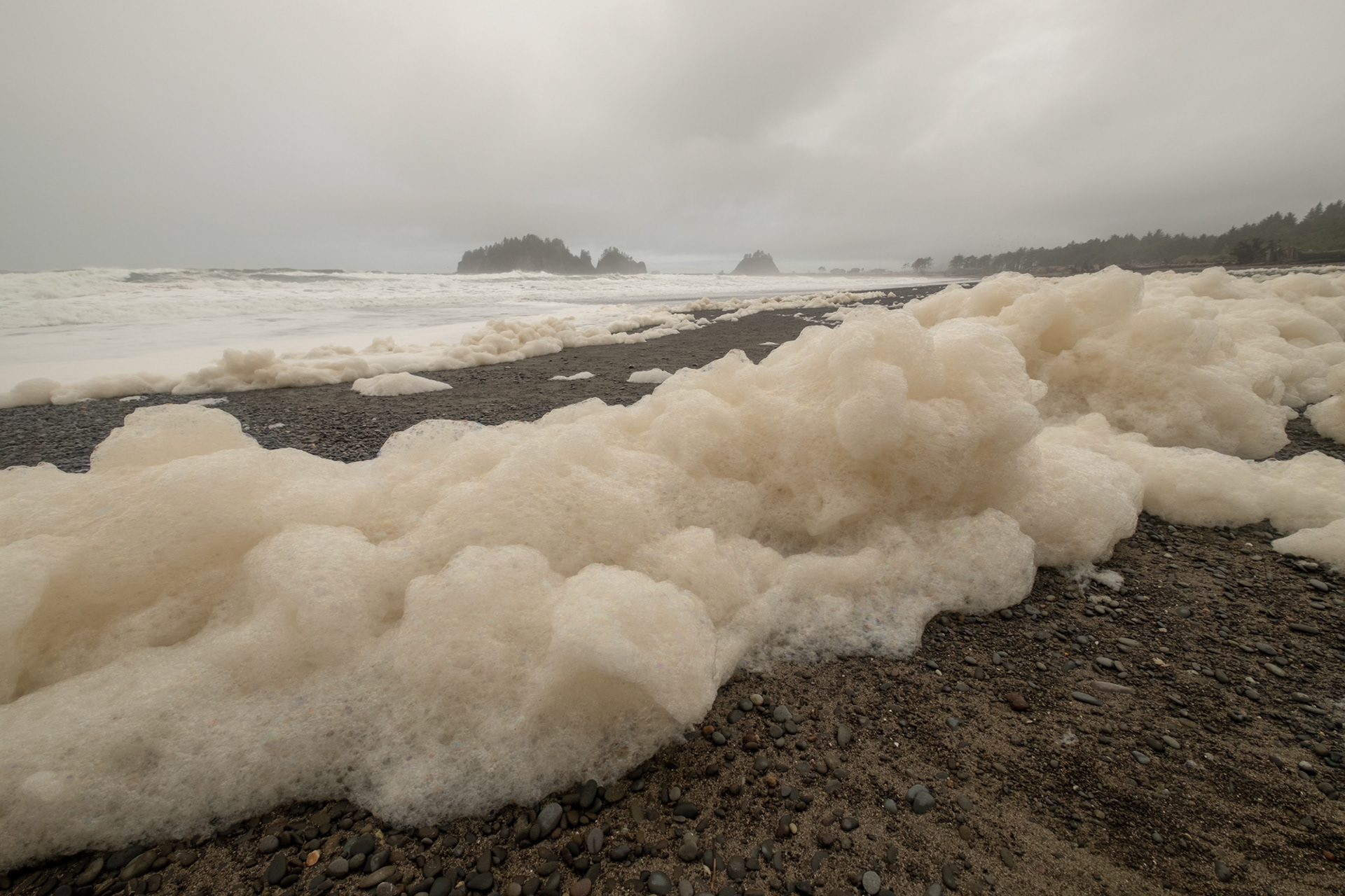 First Beach, cerca de La Push, WA