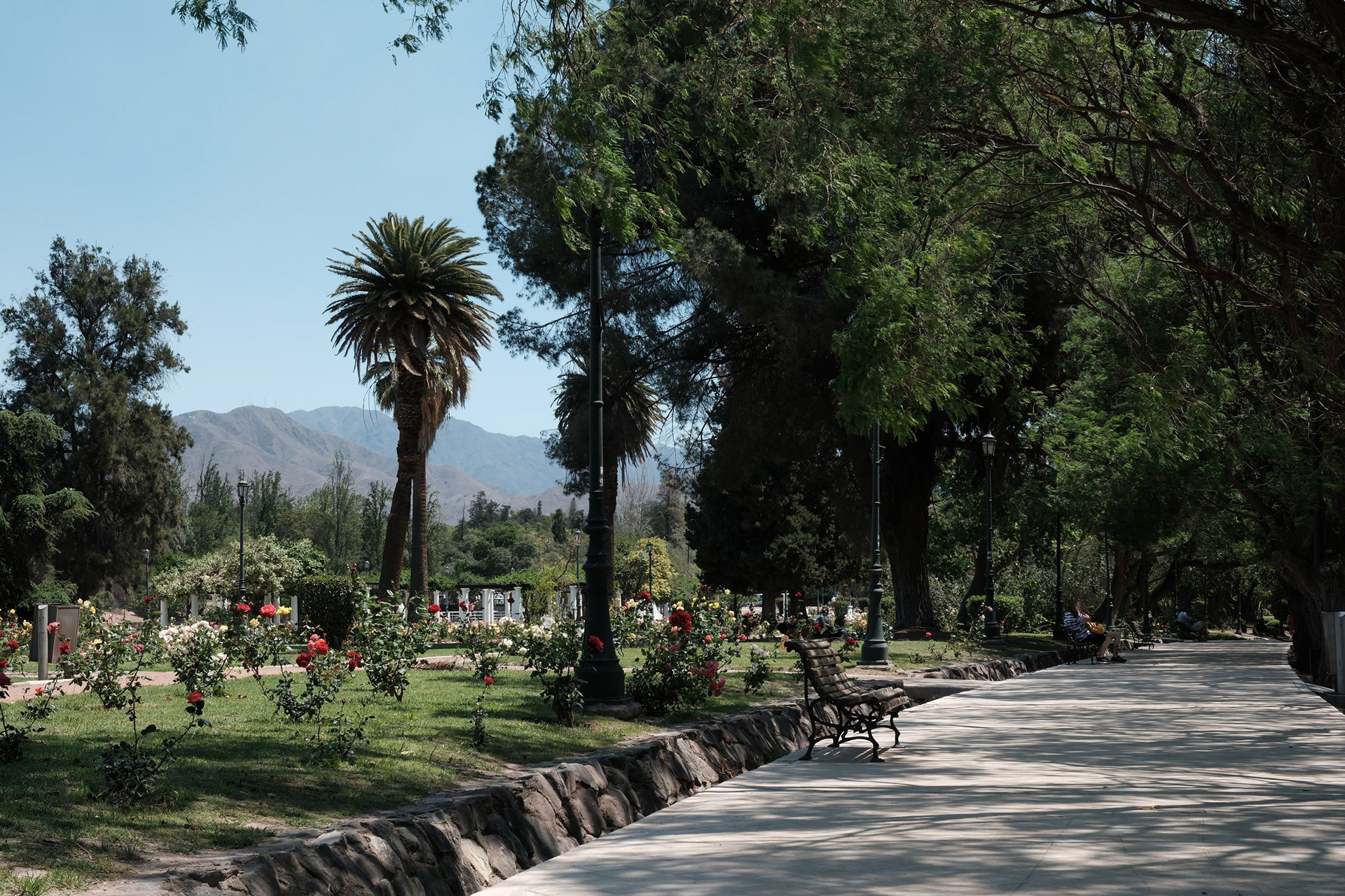 Rosedal del Parque General San Martin