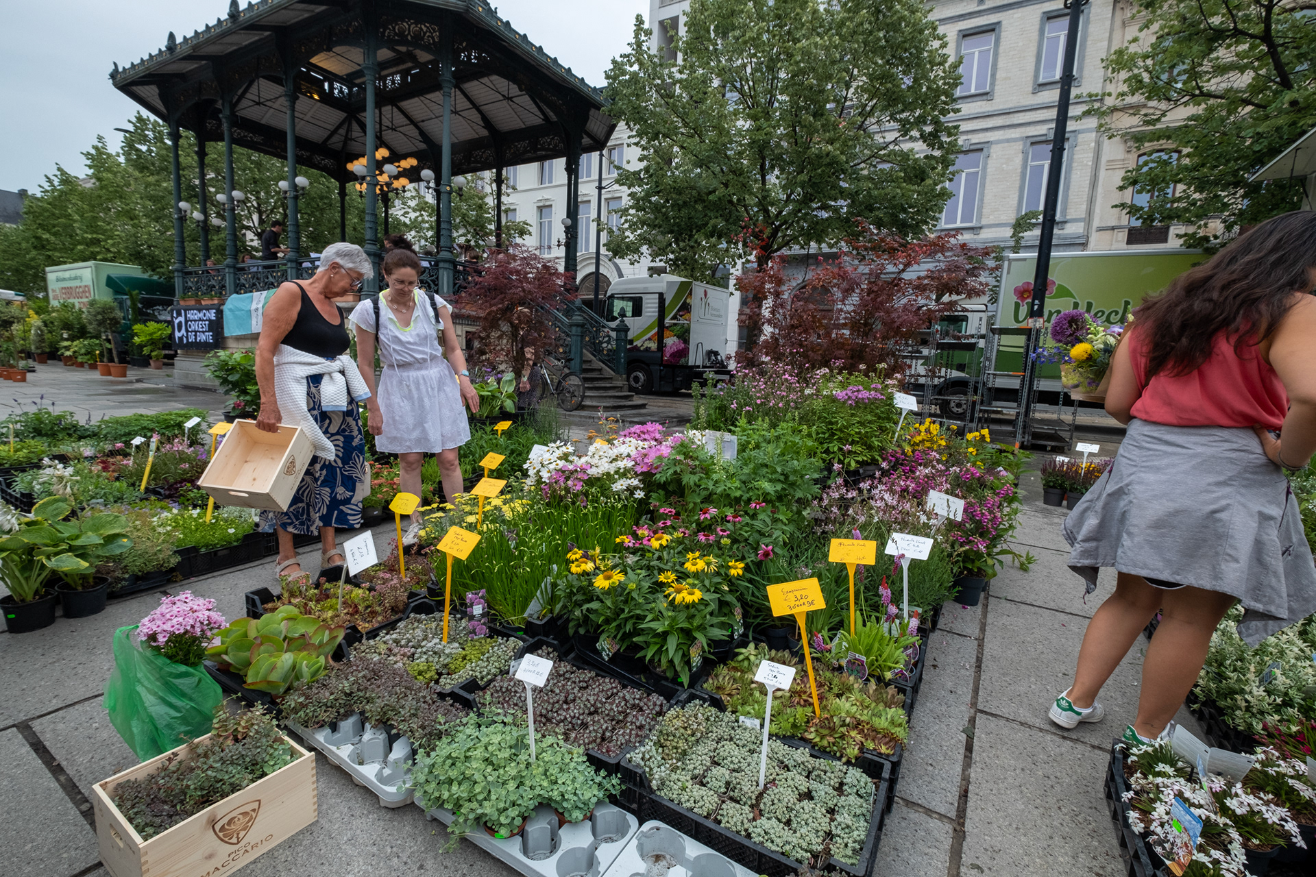 Plaza Kouter y mercado de flores (domingo)