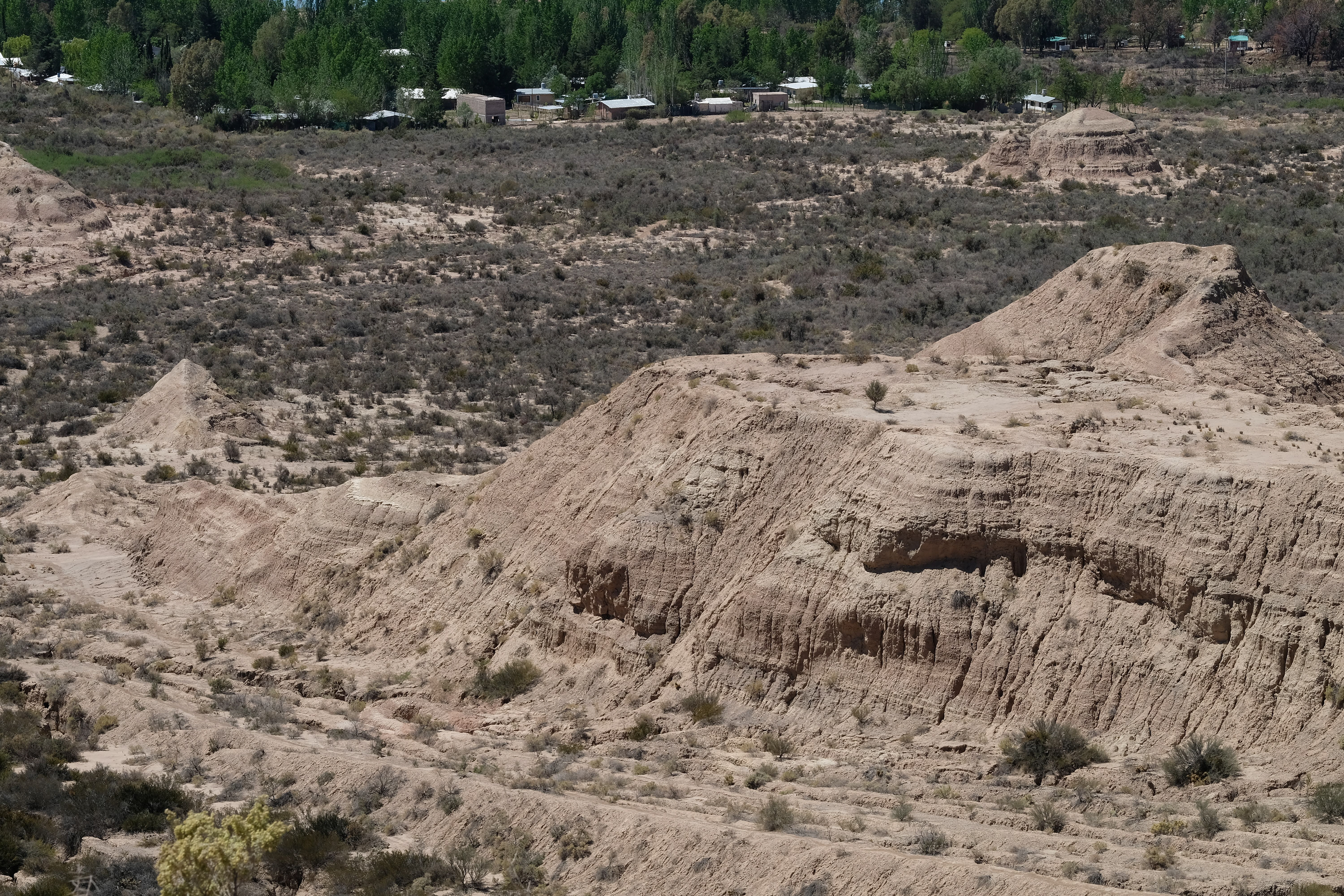 El Carrizal de Abajo