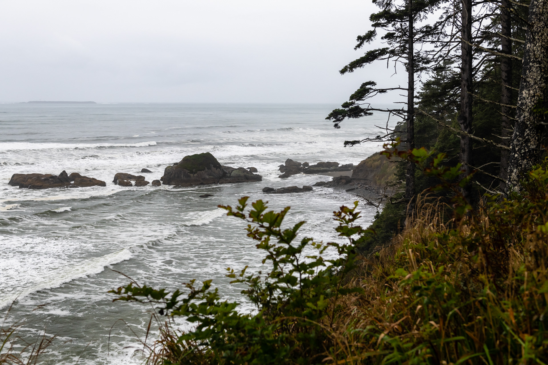 Kalaloch - Kalaloch Rocks
