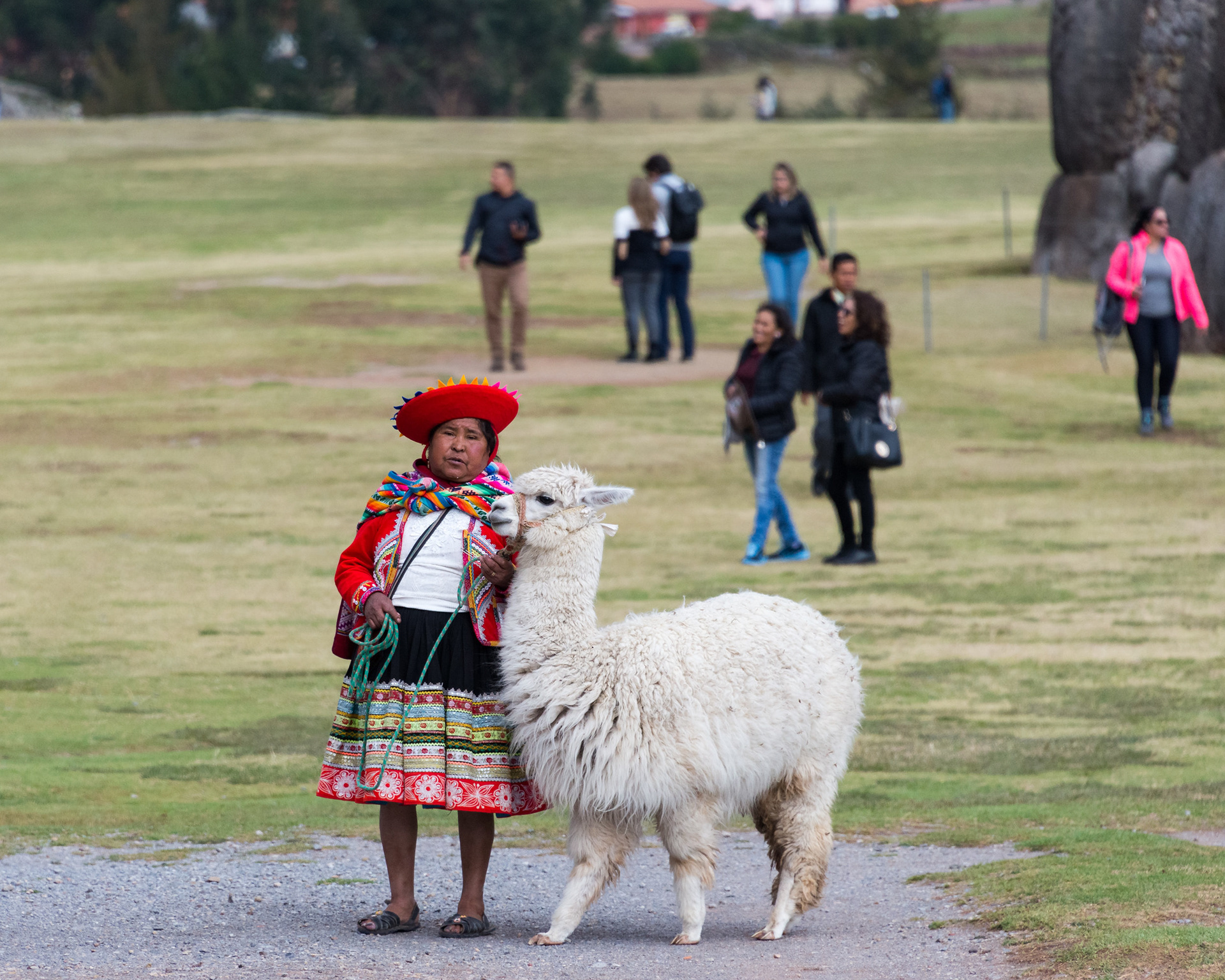 Furry mate - Friendly lady standing there, in the middle of the Saqsaywaman archeological center, looking for tourists to take her a picture with her furry mate.