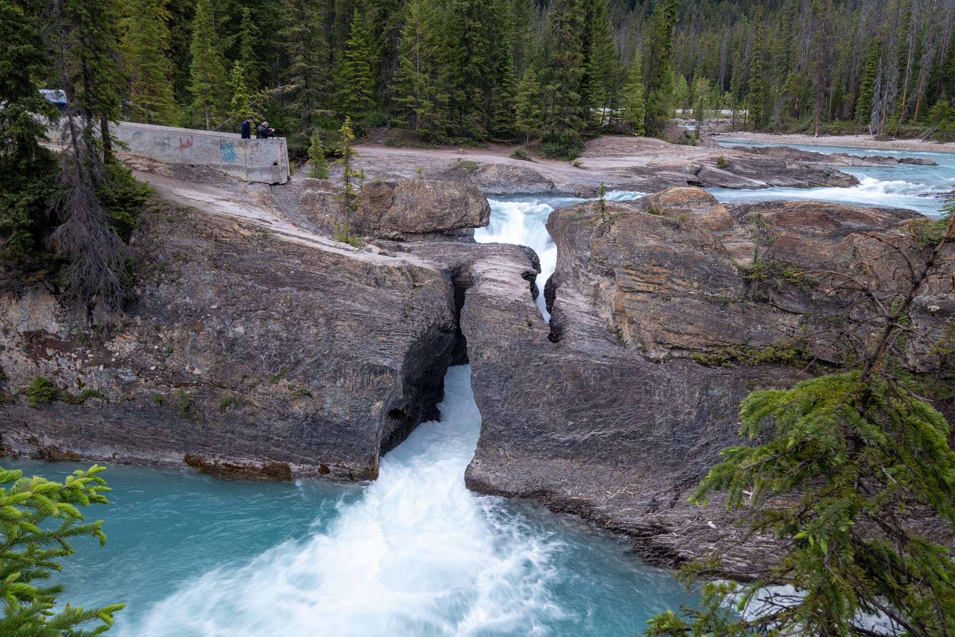 Puente Natural - Río Kicking Horse (caballo pateador)