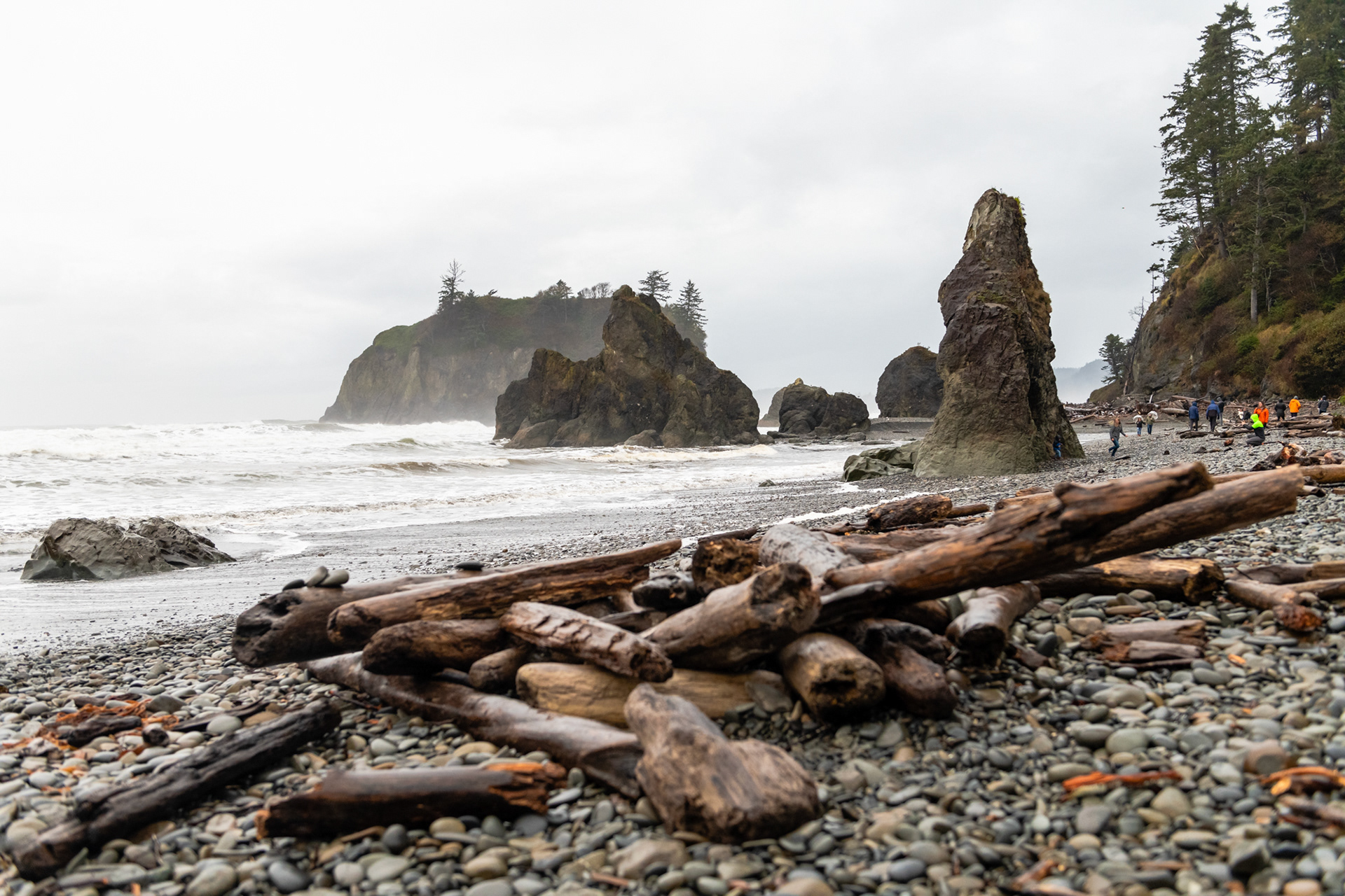 Ruby Beach - Kalaloch - Cedar creek