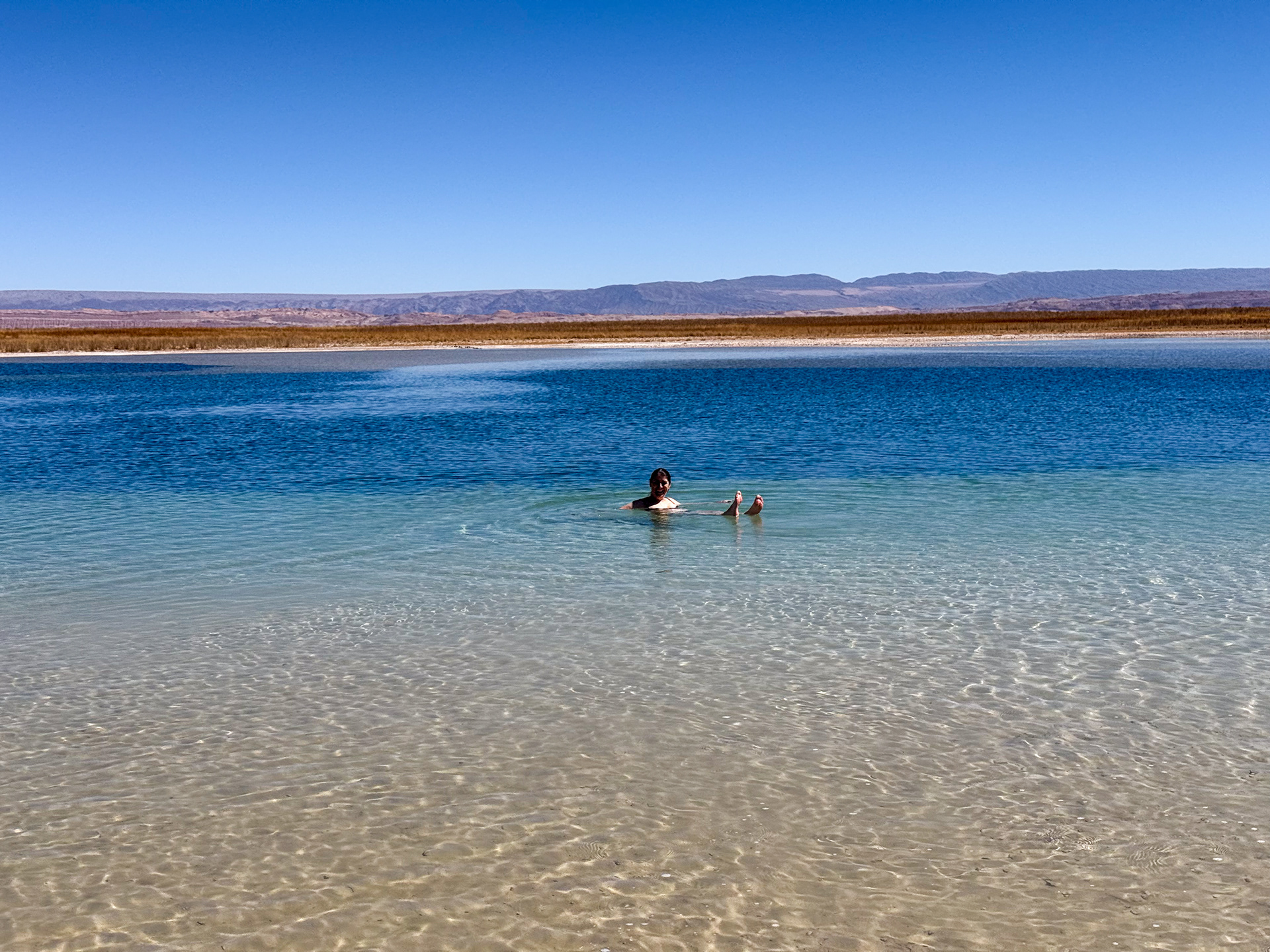 Experiencias de baño gelido en Laguna Cejar