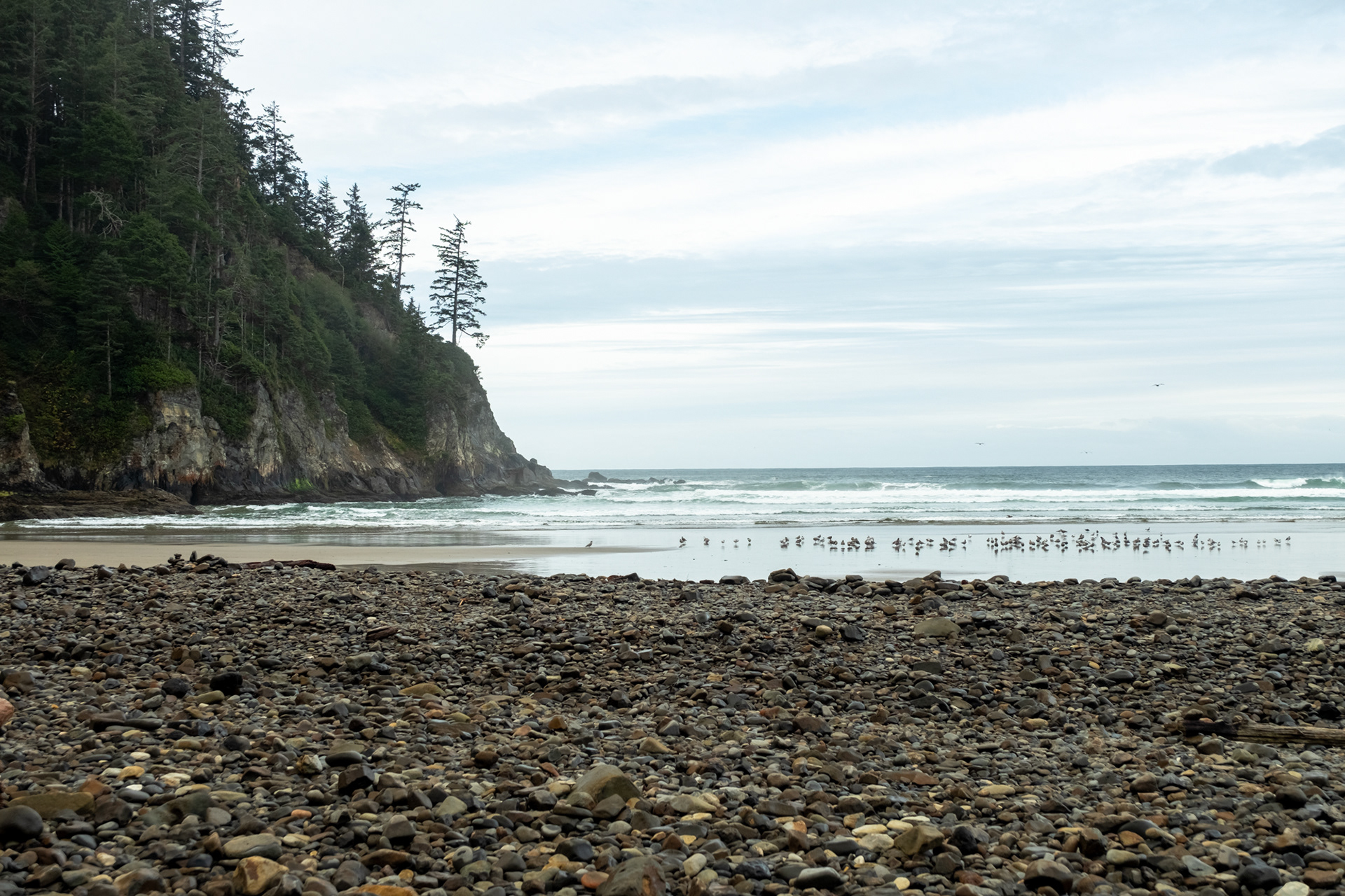 Short Sand Beach - Oswald West State Park