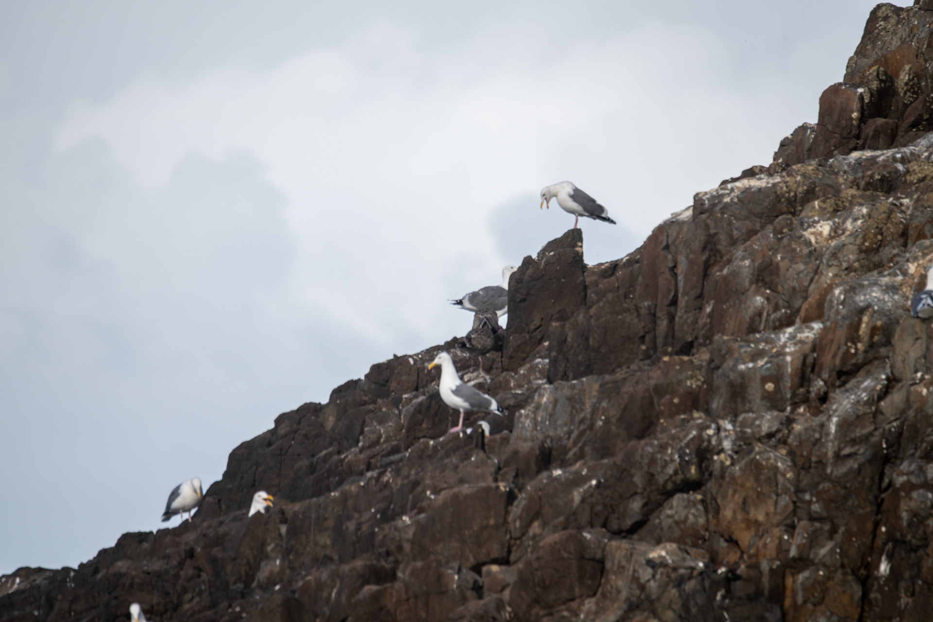 Seal Rock State Recreation Site