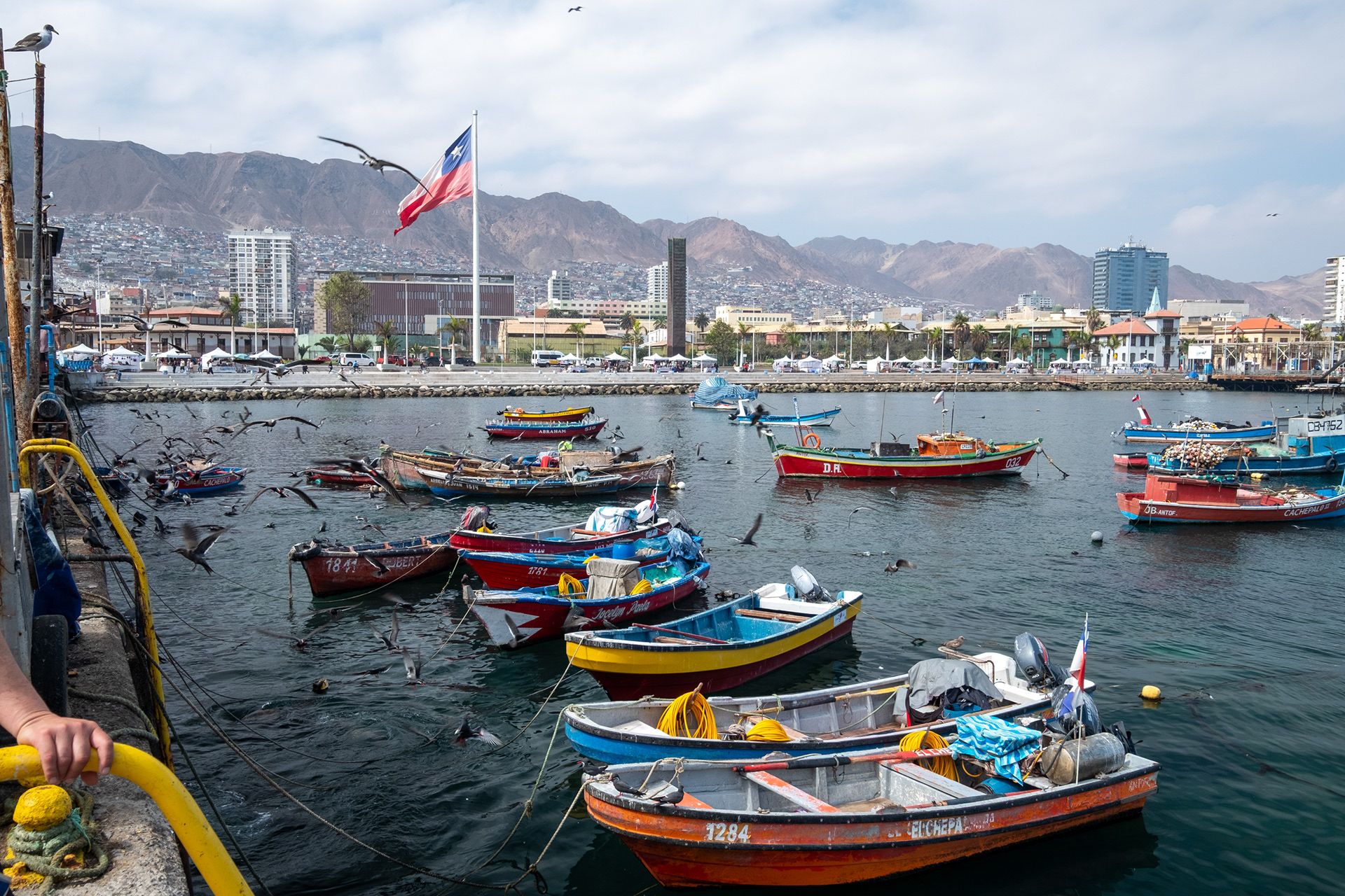 Terminal Pesquero - Antofagasta