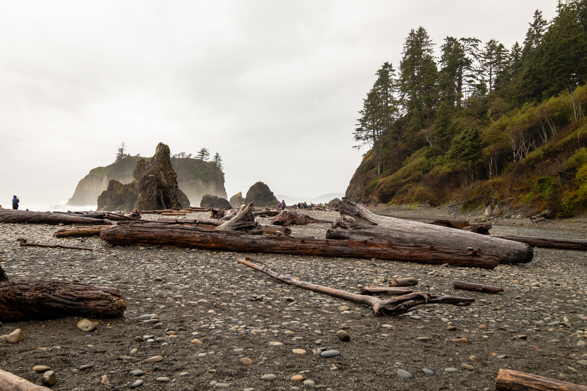 Ruby Beach - Kalaloch - Cedar creek