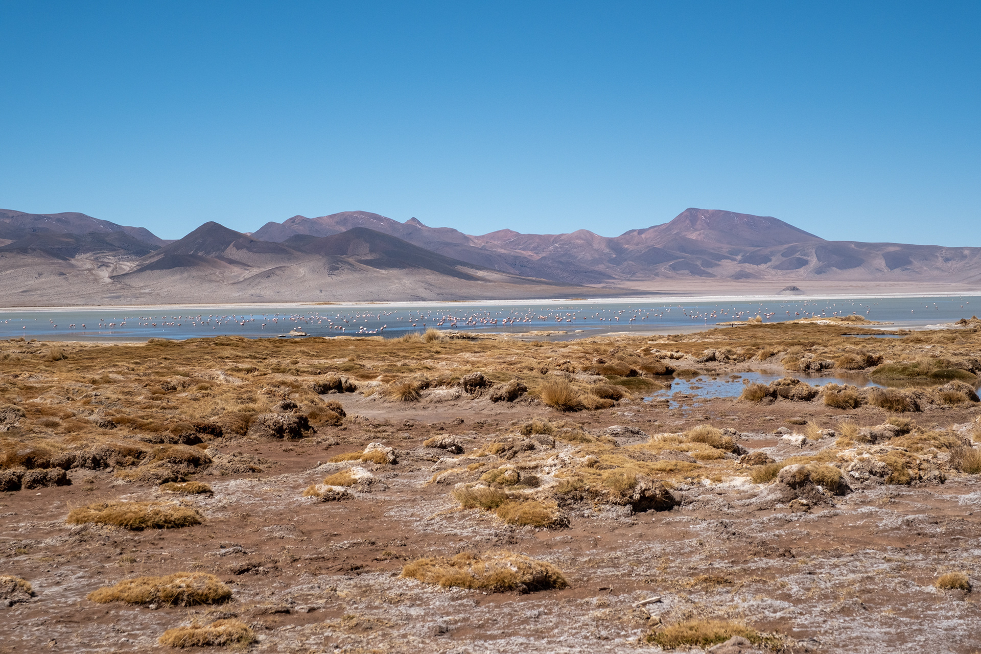 Salar del Huasco