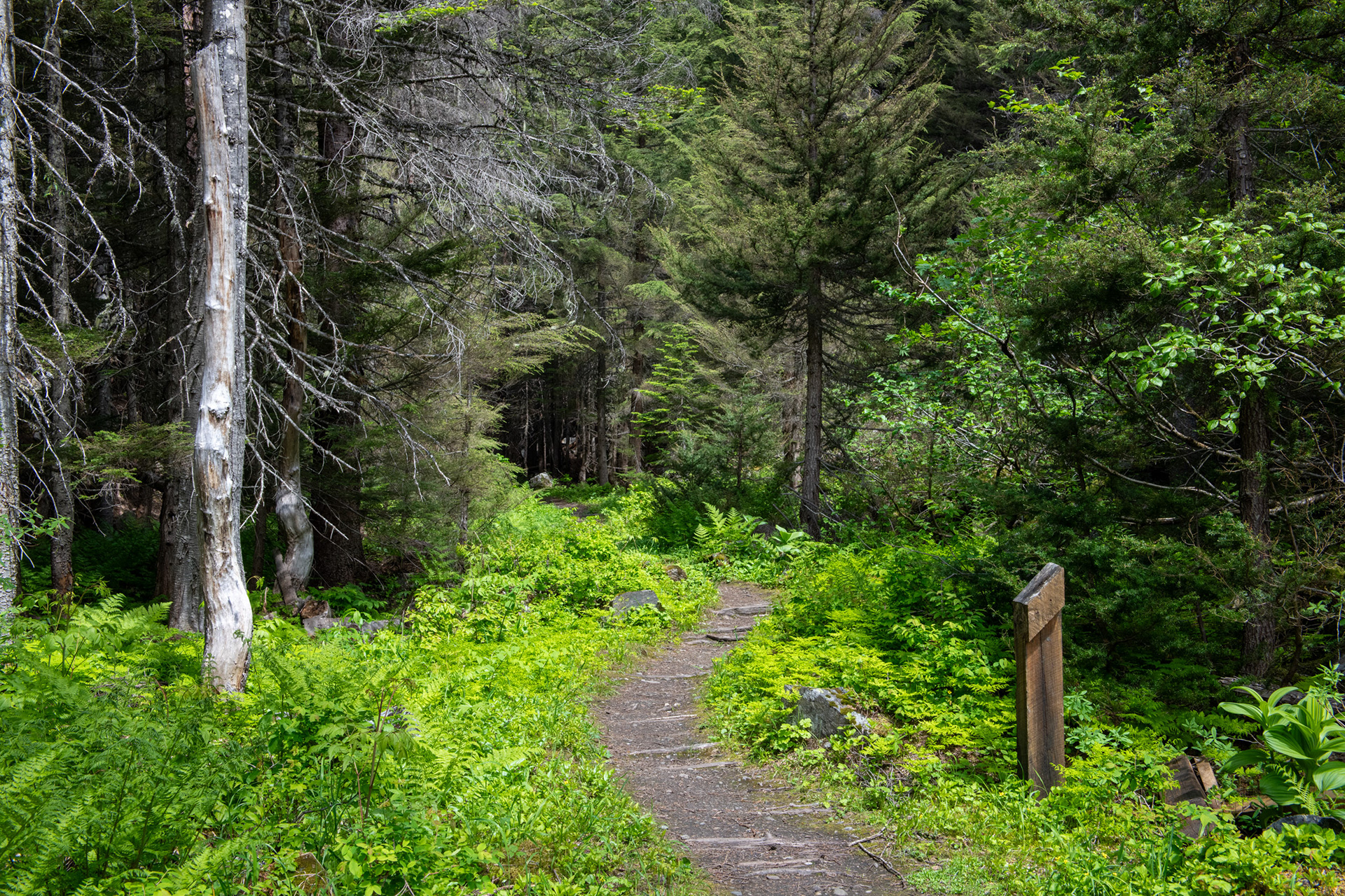 Bucle Brook - bucle para bajar en altura al tren