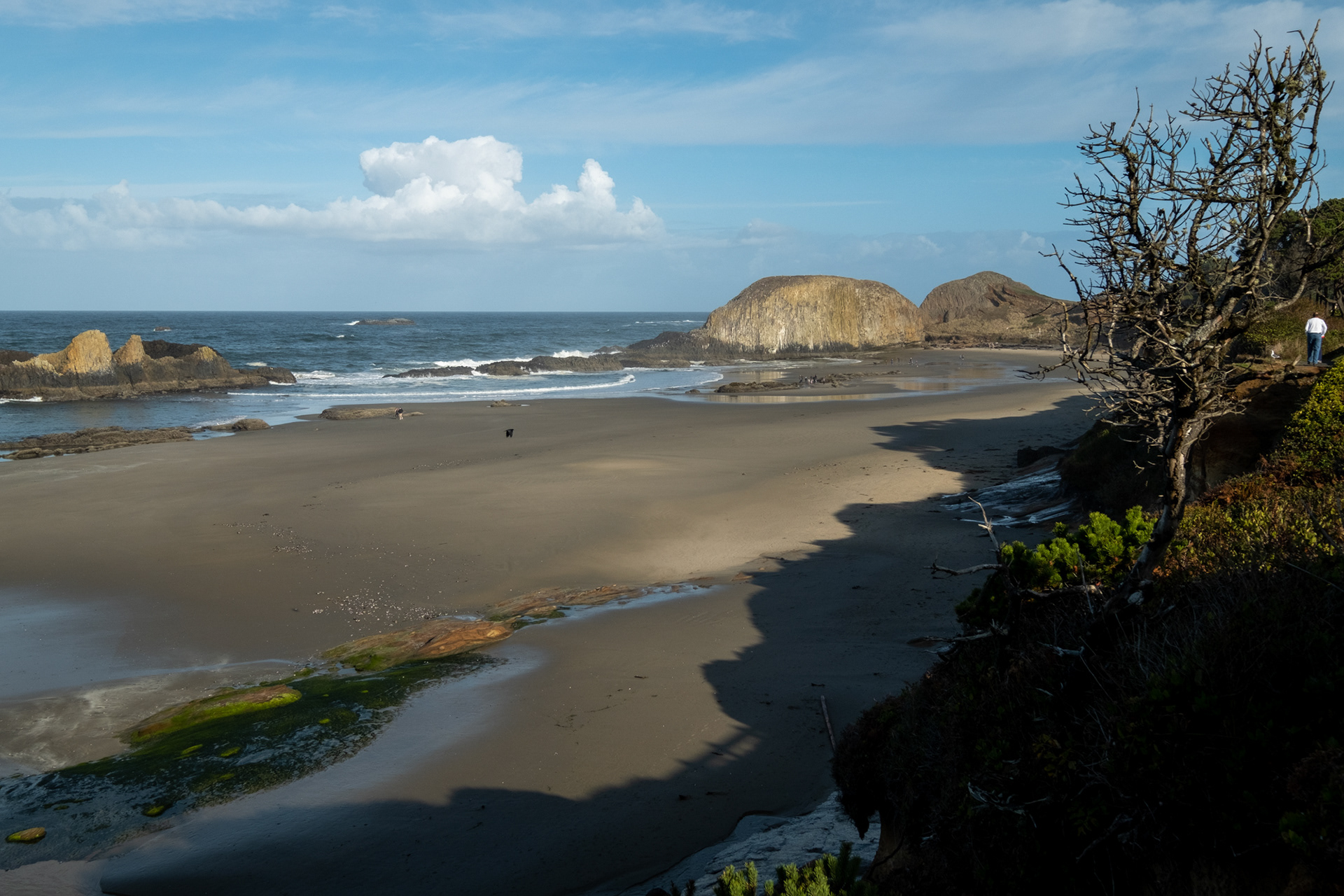 Seal Rock State Recreation Site