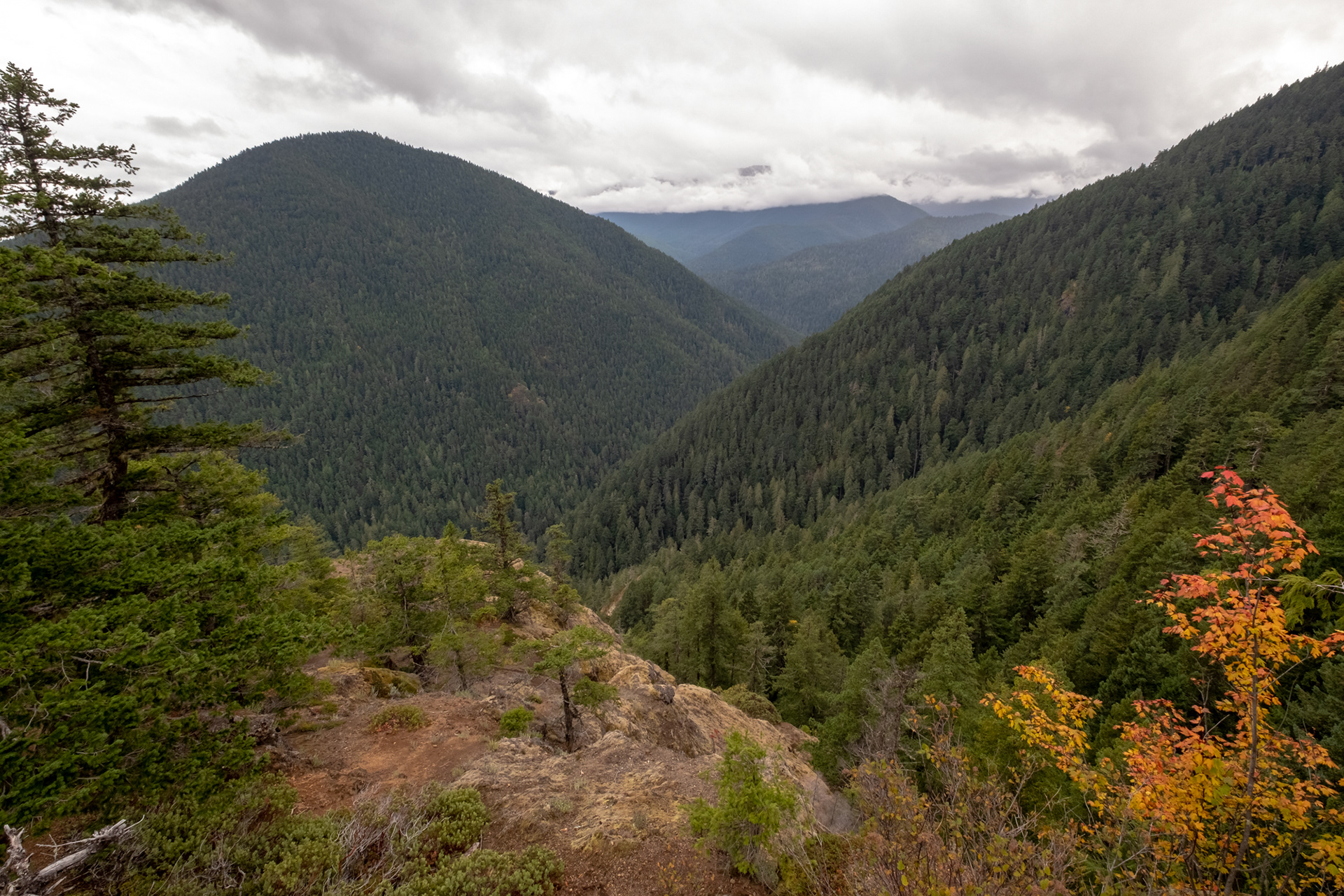 Olympic Highway, camino a Port Angeles, WA
