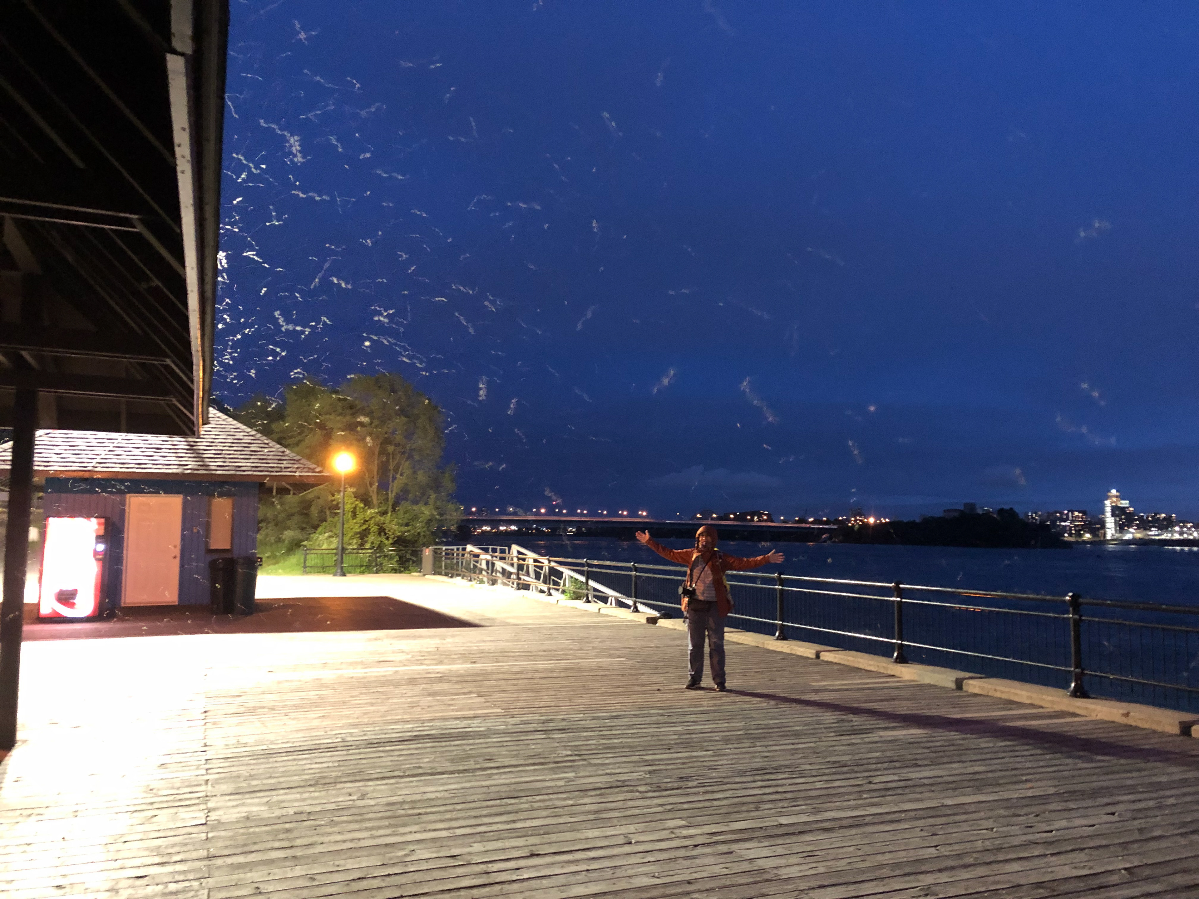 La barboleta que barboletea