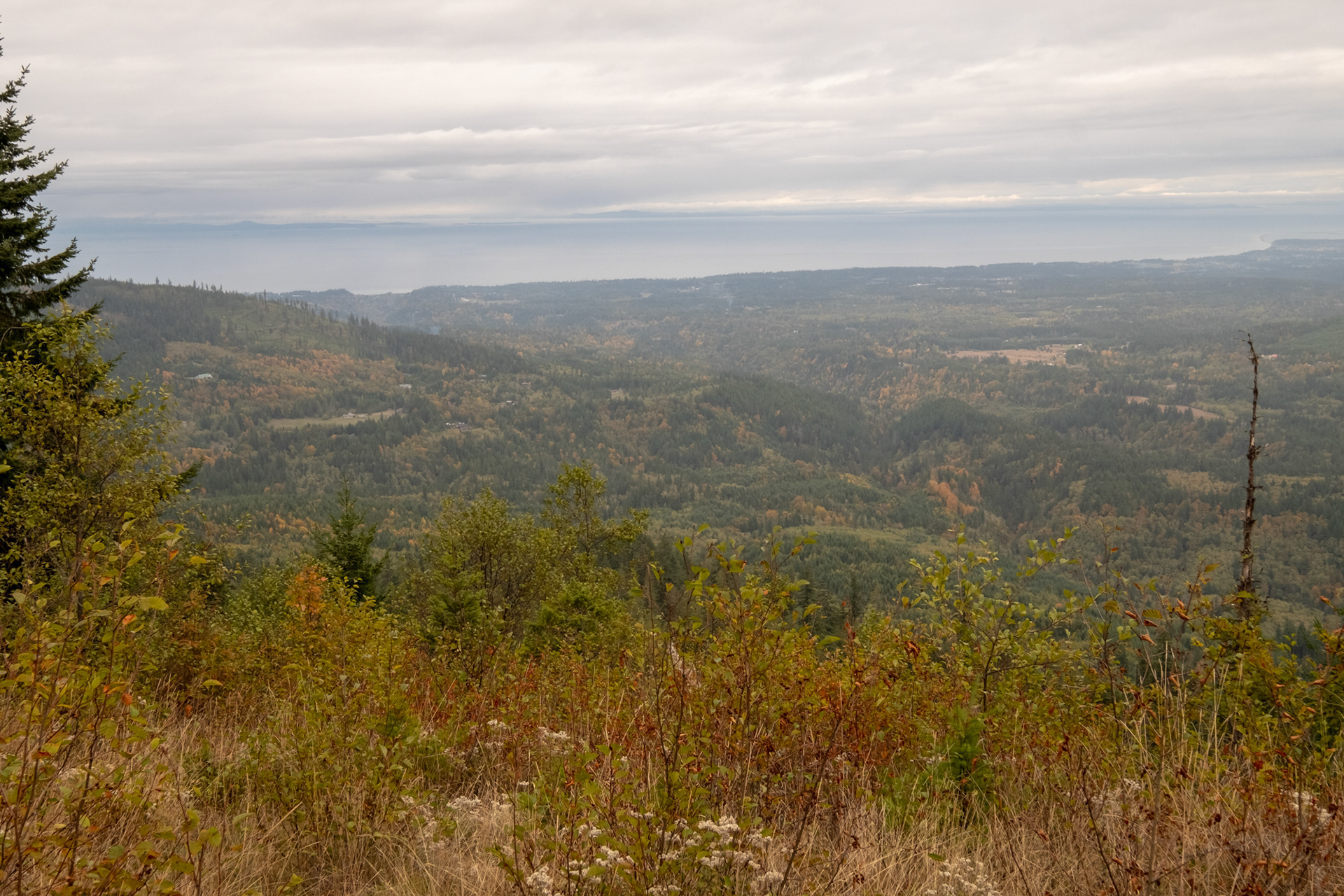 Olympic Highway, camino a Port Angeles, WA