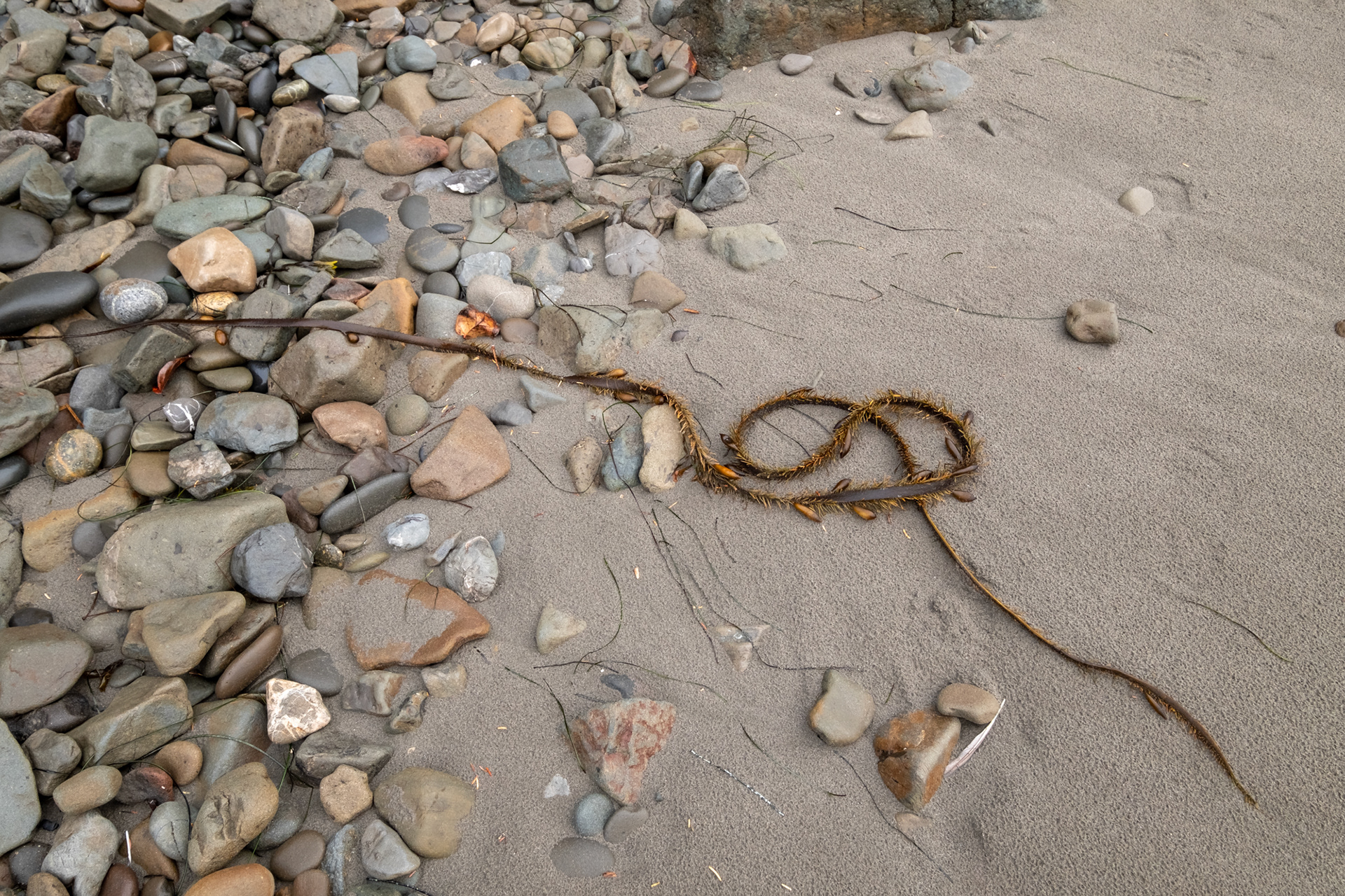 Second Beach, cerca de La Push, WA