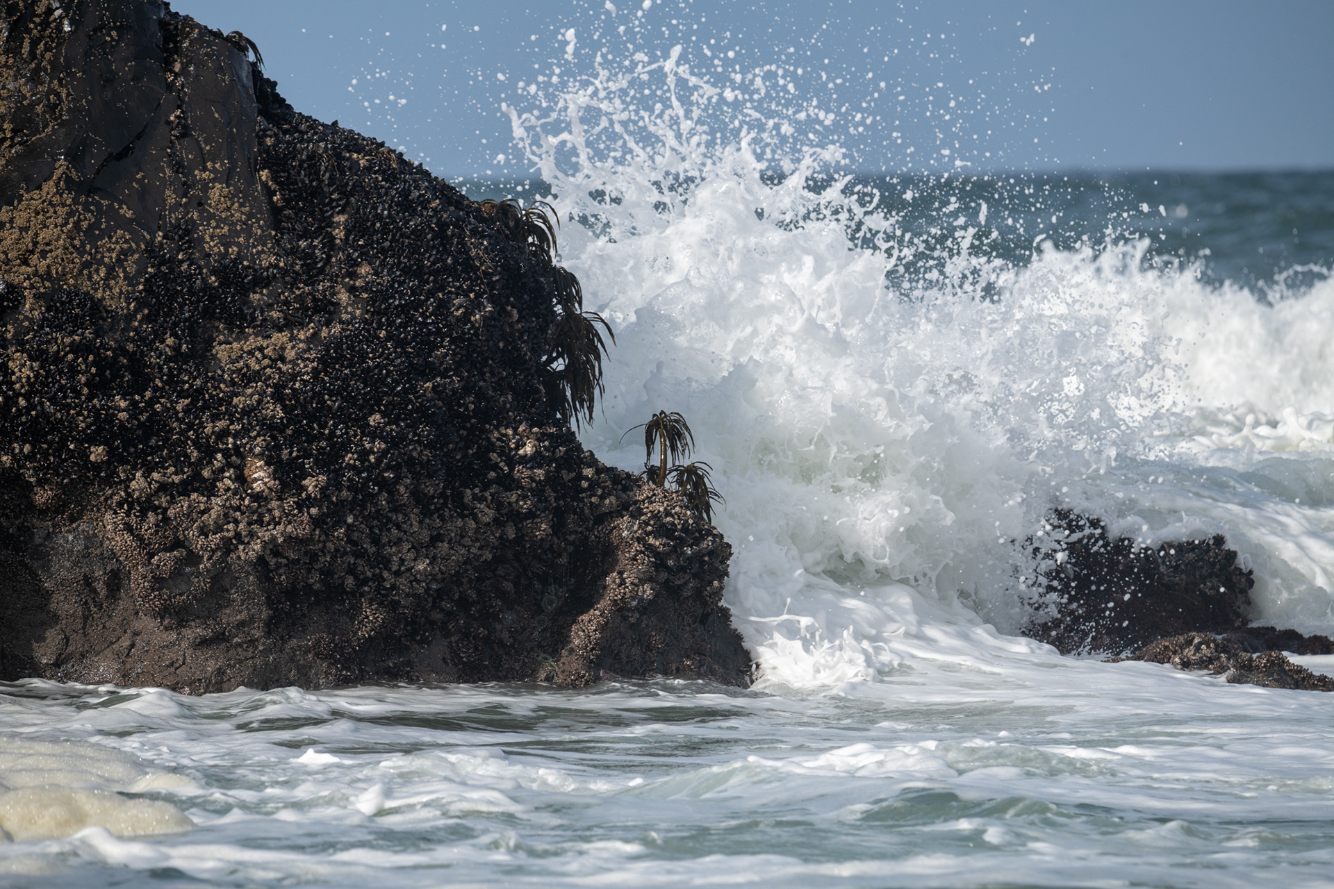 Seal Rock State Recreation Site