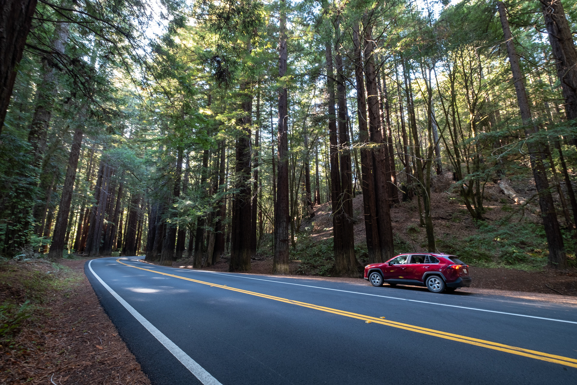 Ruta 128W - Sequoias