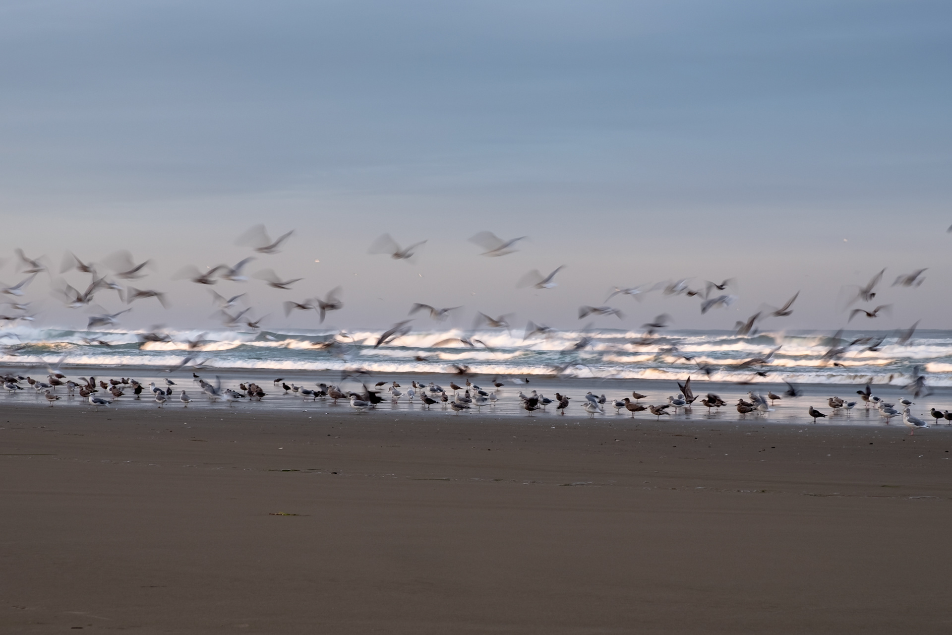 Sunset Beach, Manzanita OR