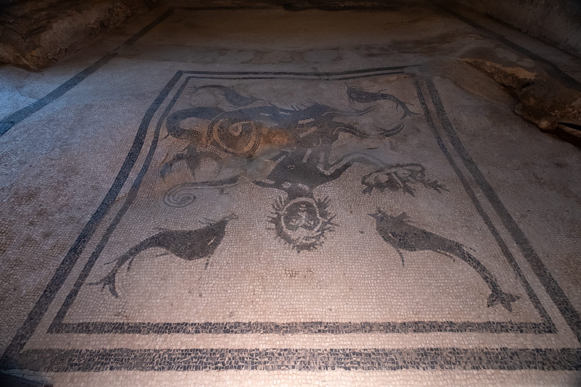 Terma de los hombres