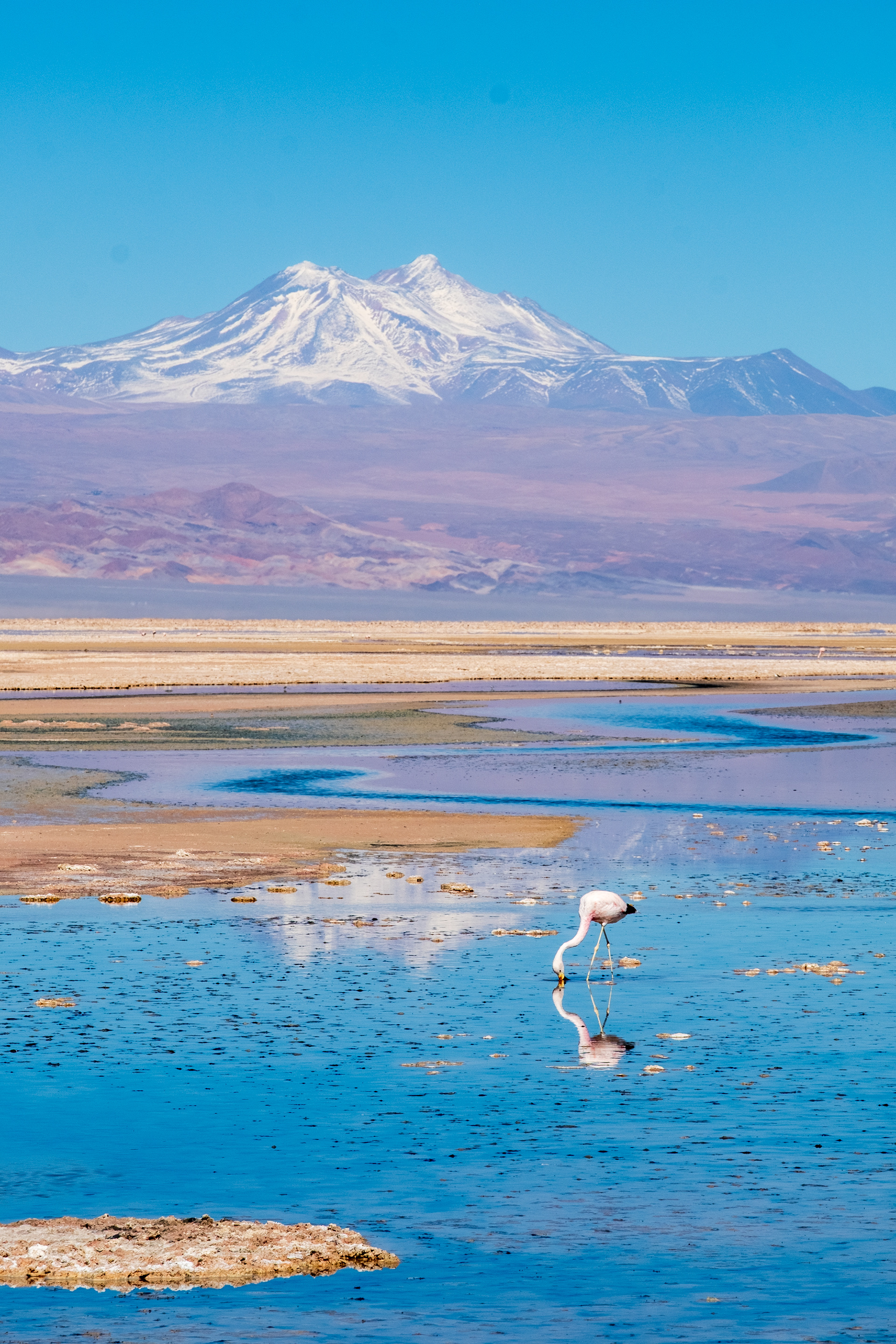 Laguna Chaxa