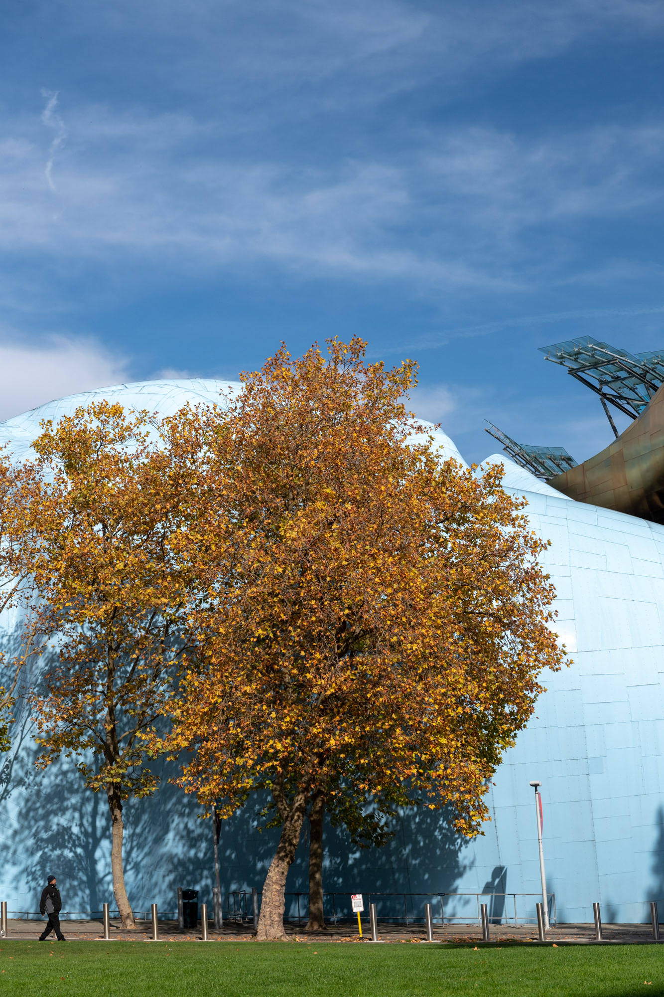 Museum of Pop Culture