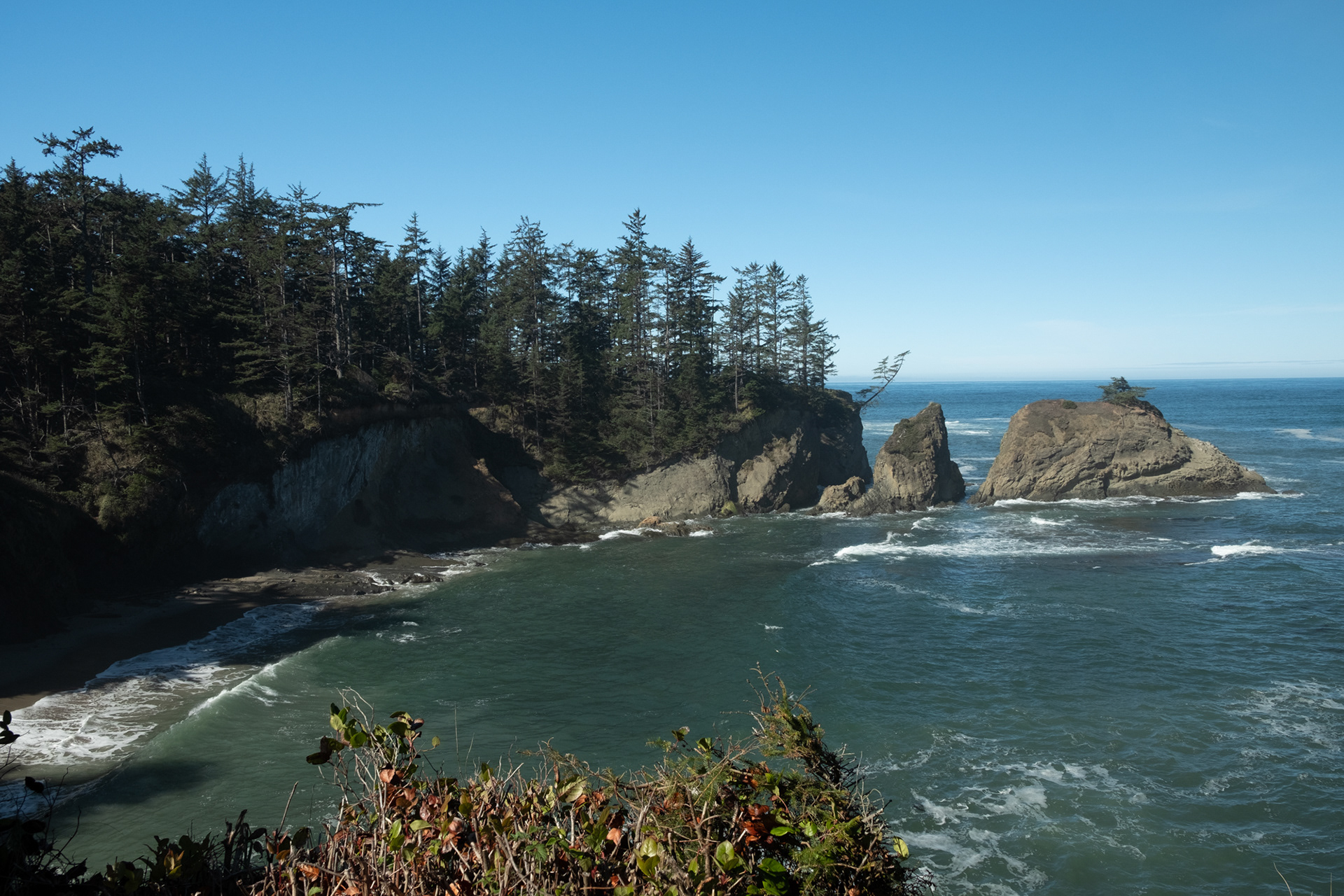 Cape Arago State Park