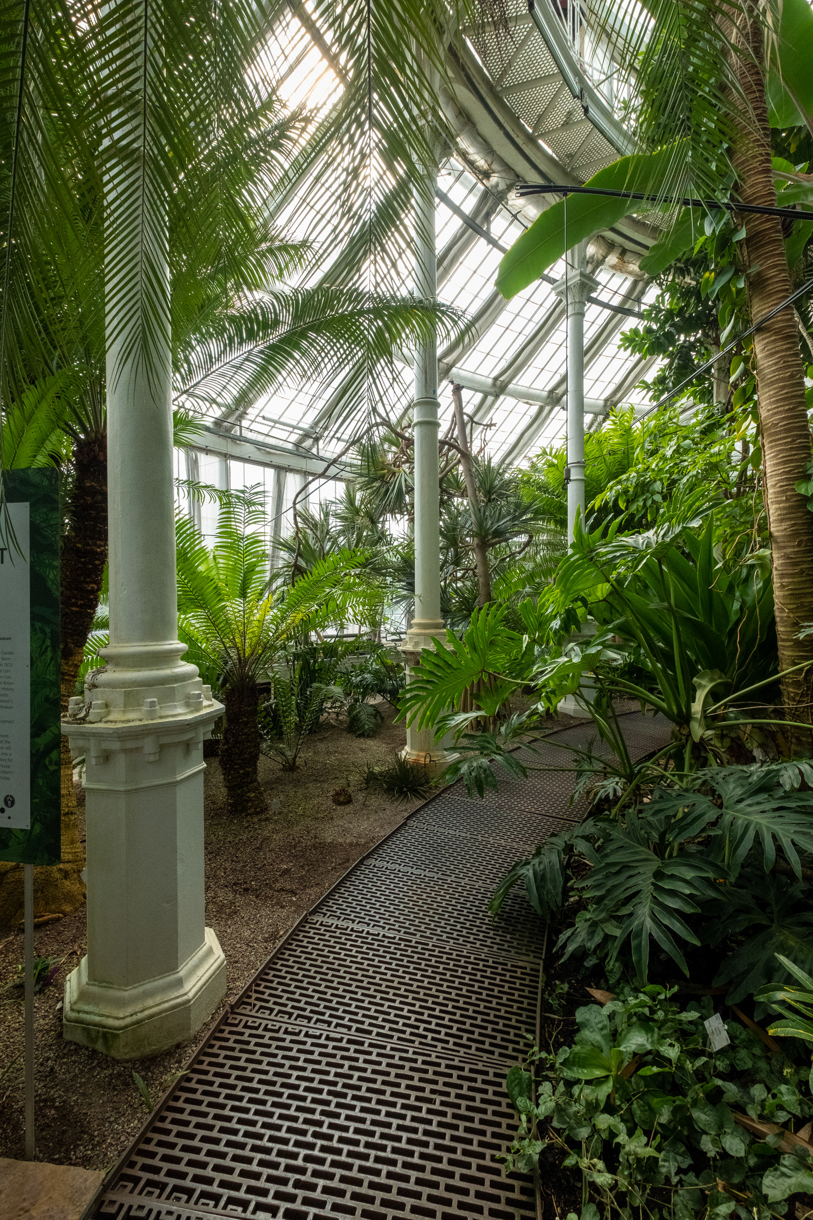 Jardín botánico - casa de palmeras