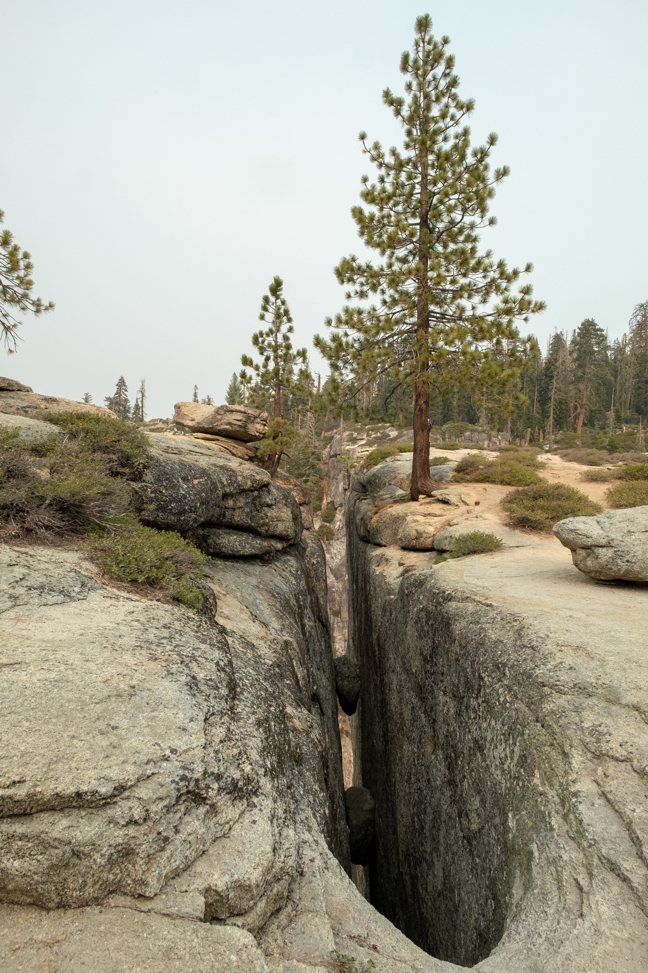 Yosemite -  Taft Point