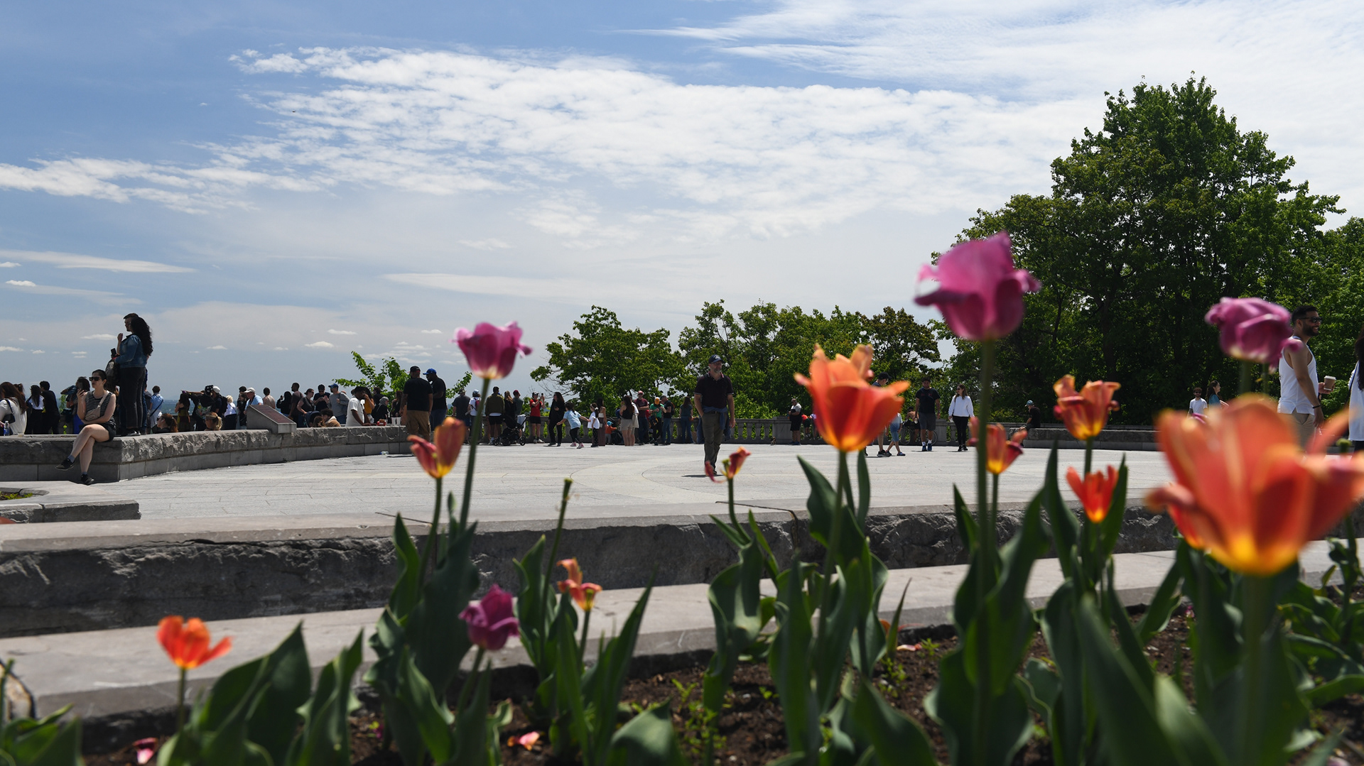 Mount Royal Park - Kondiaronk Belvedere