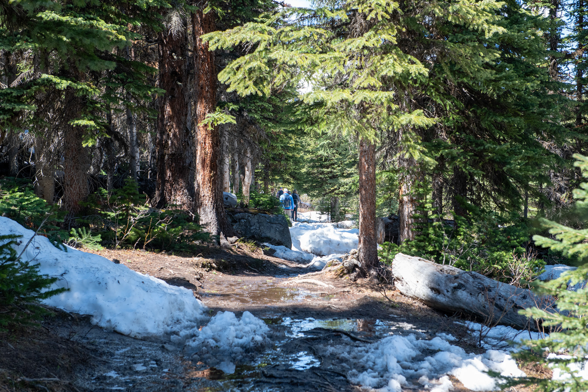 Camino a Consolation Lakes