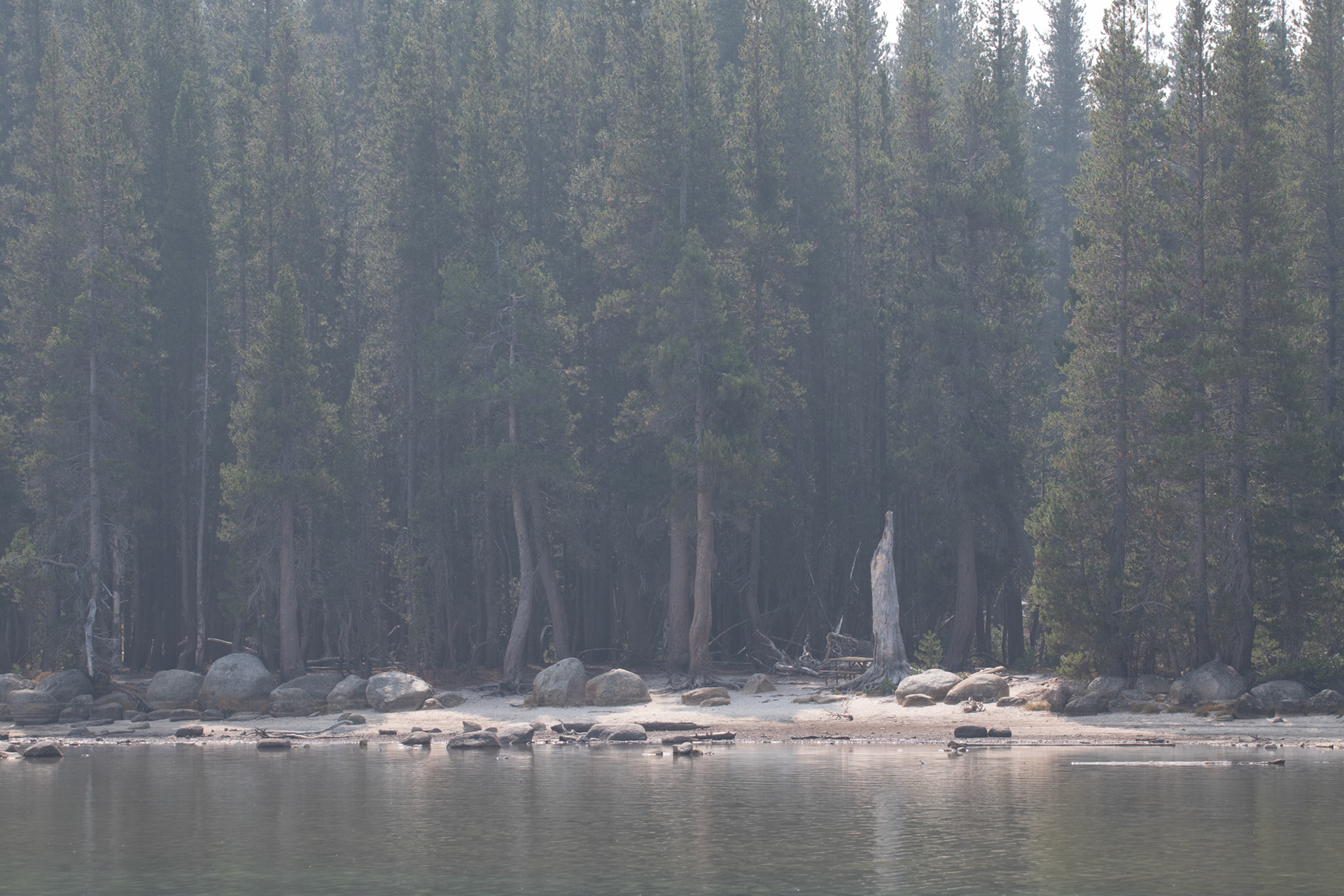 Yosemite - Tenaya Lake