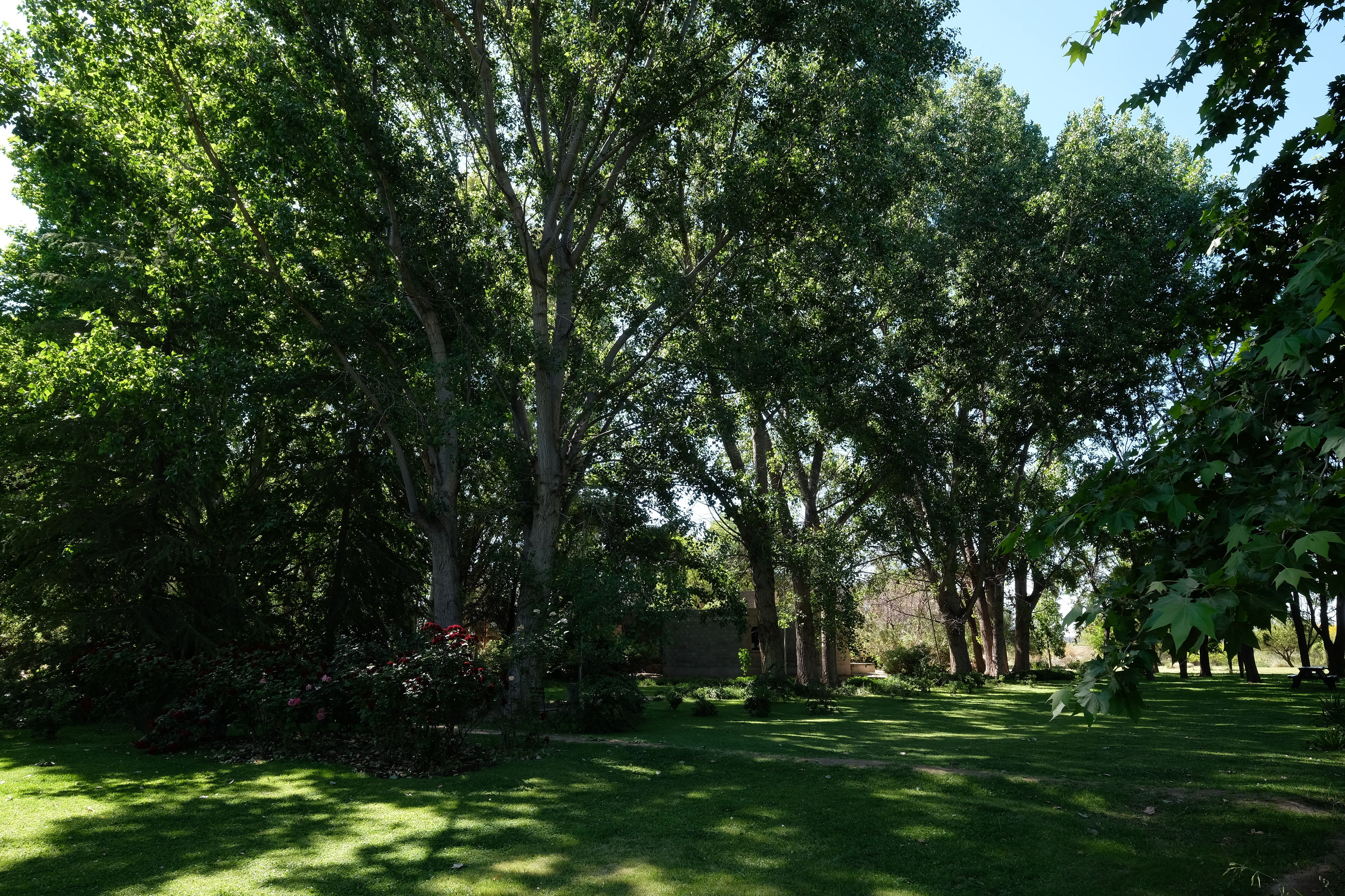 Bodega Santa Julia - Casa del Visitante