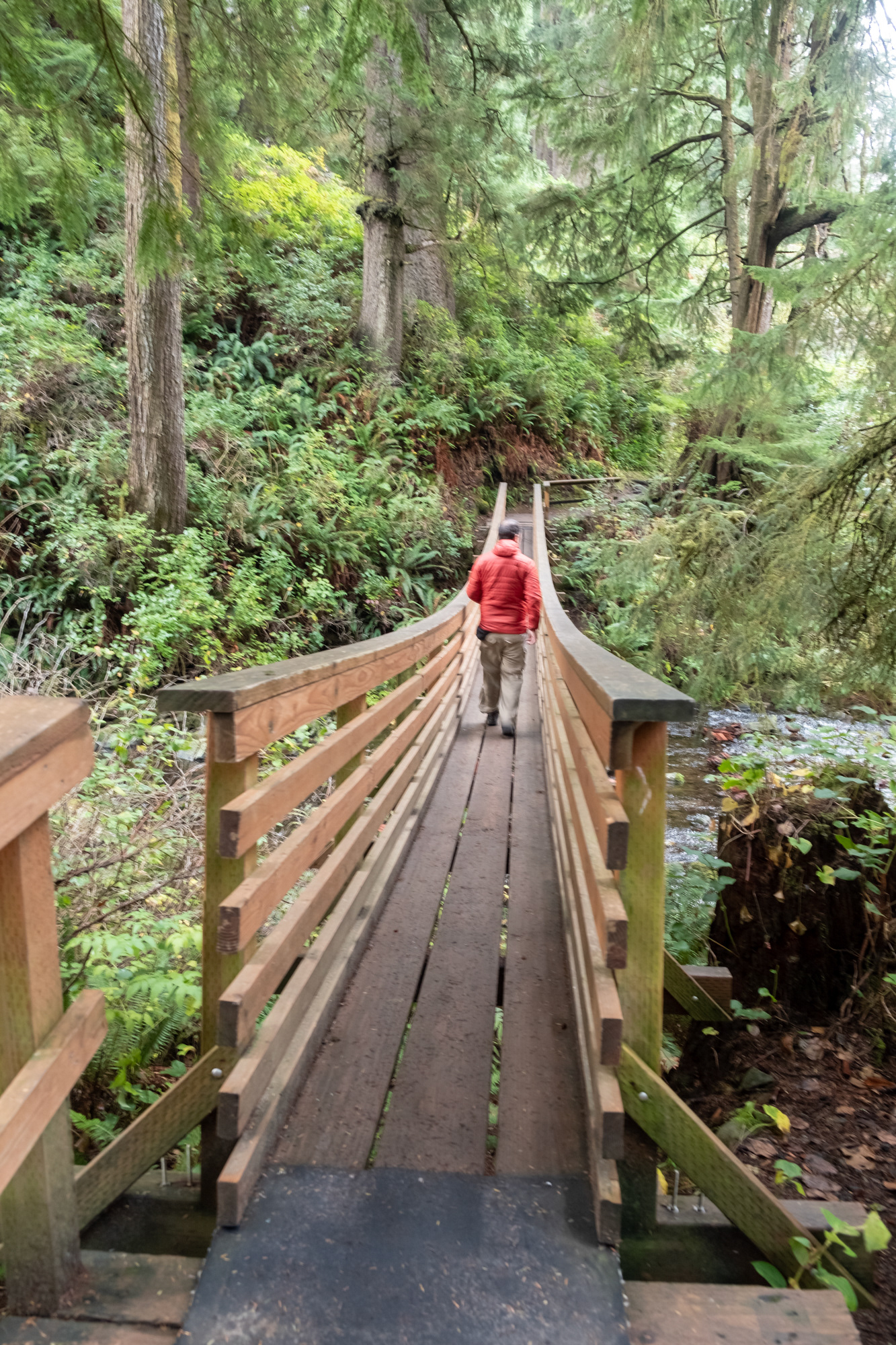 Oswald West State Park