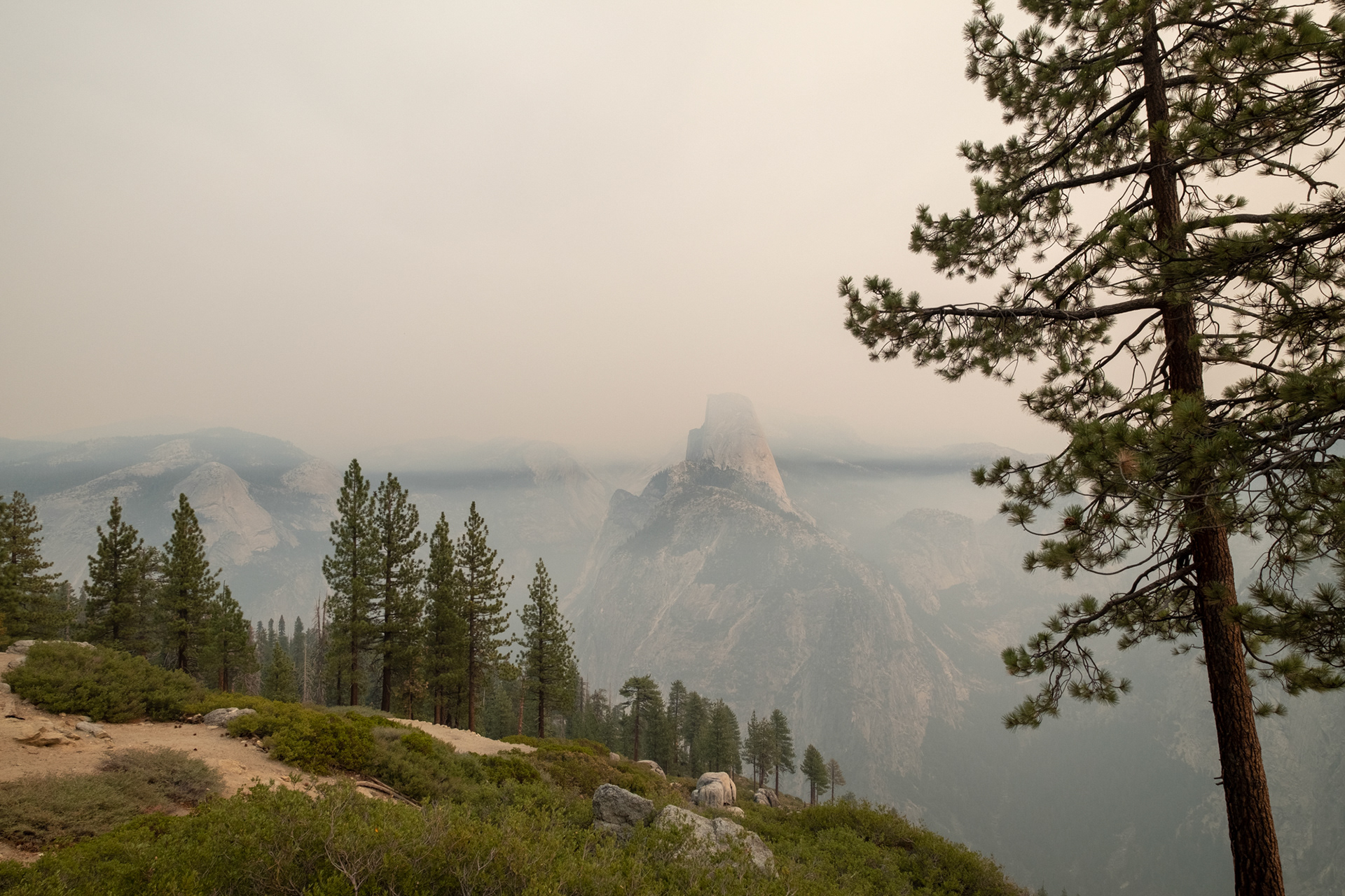 Yosemite - Washburn Point