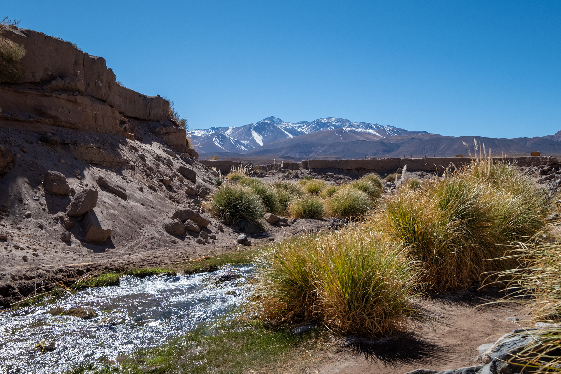 Valle de los Cactus