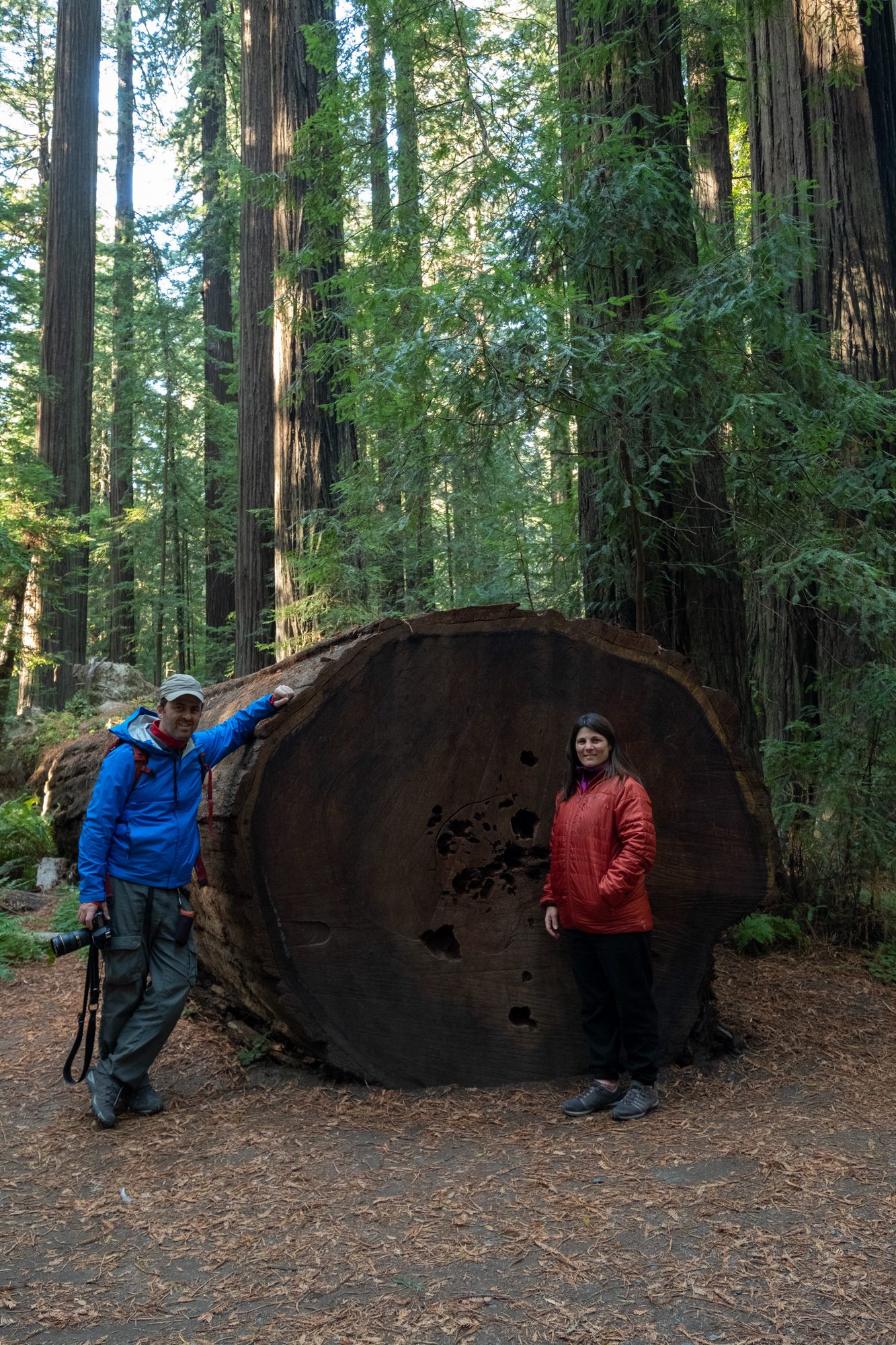 Trillo Founder's grove