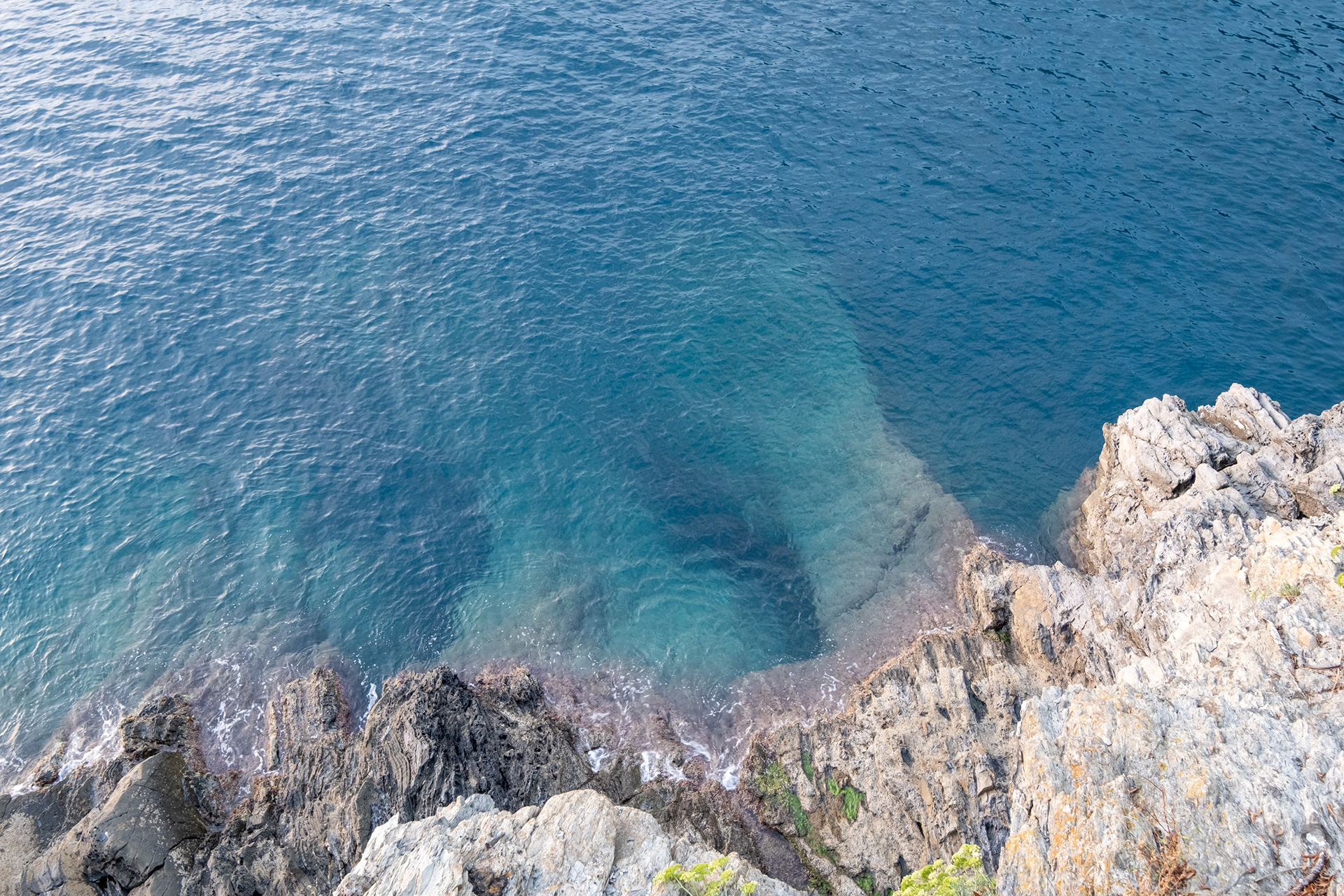 Manarola
