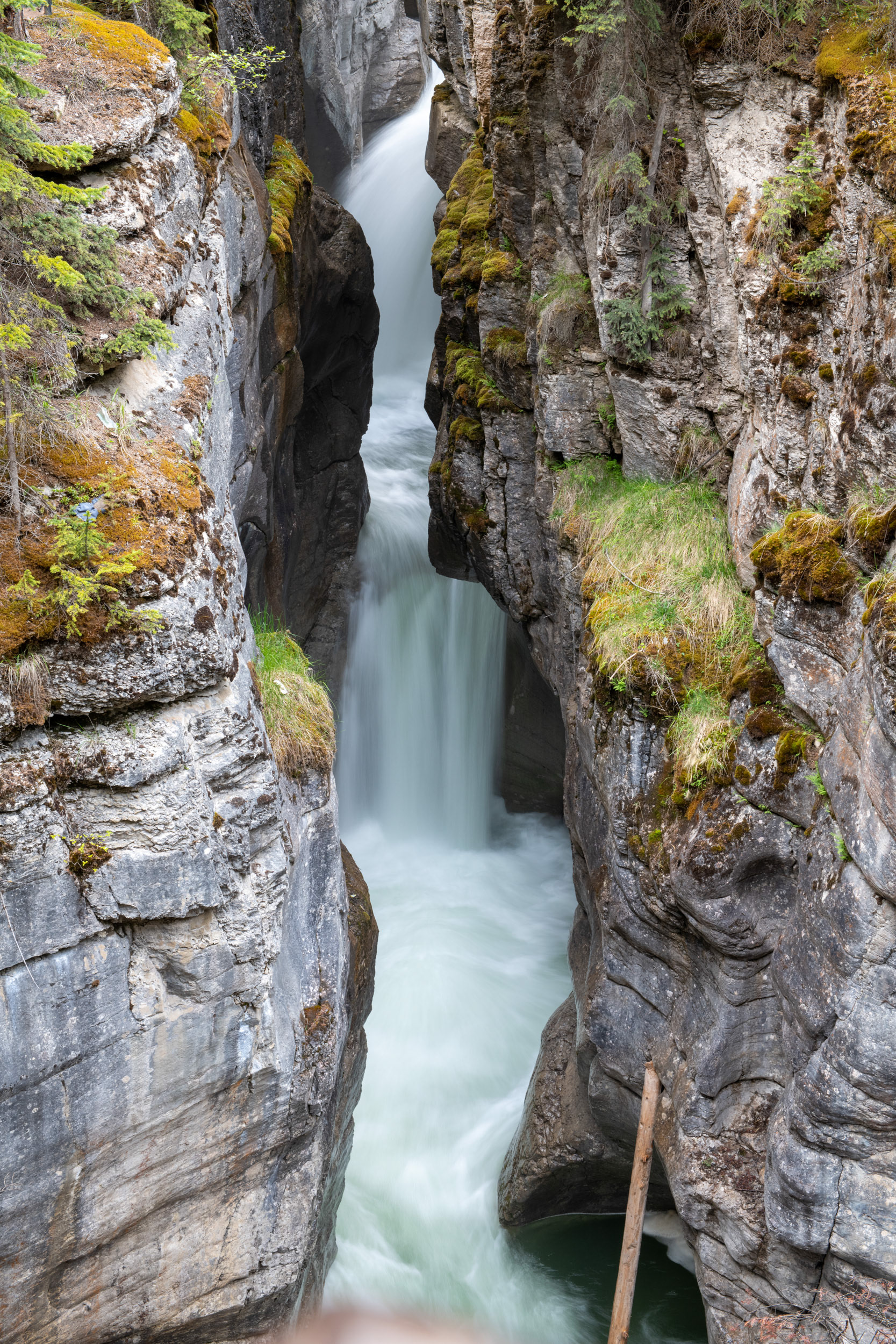 Cañón Maligne (Maligne canyon)