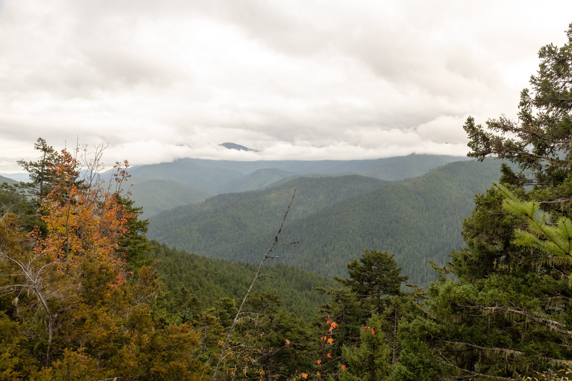 Olympic Highway, camino a Port Angeles, WA