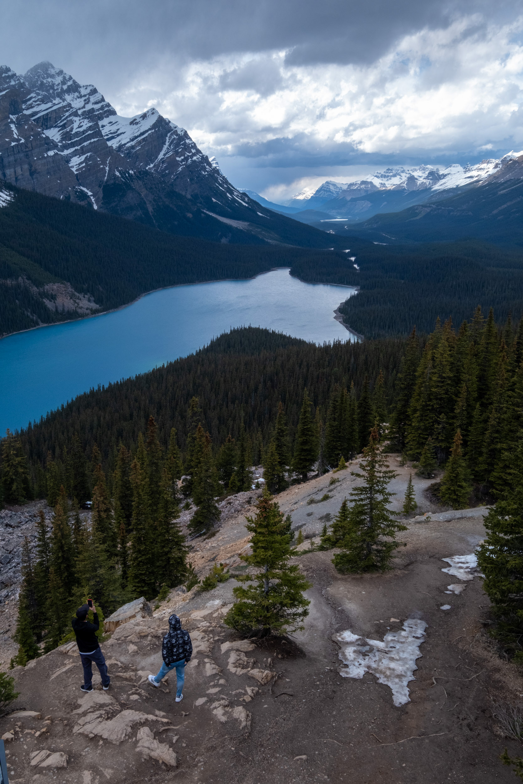 Lago Peyto