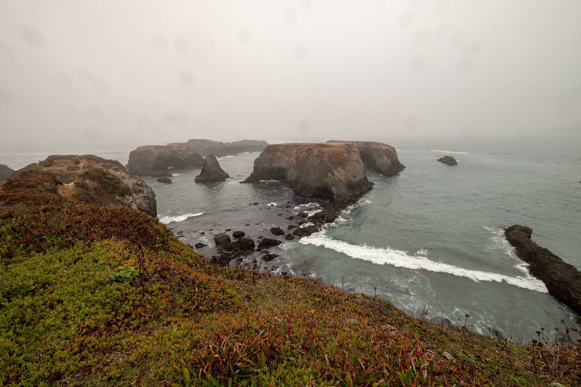 Costa de California, cerca de Mendocino