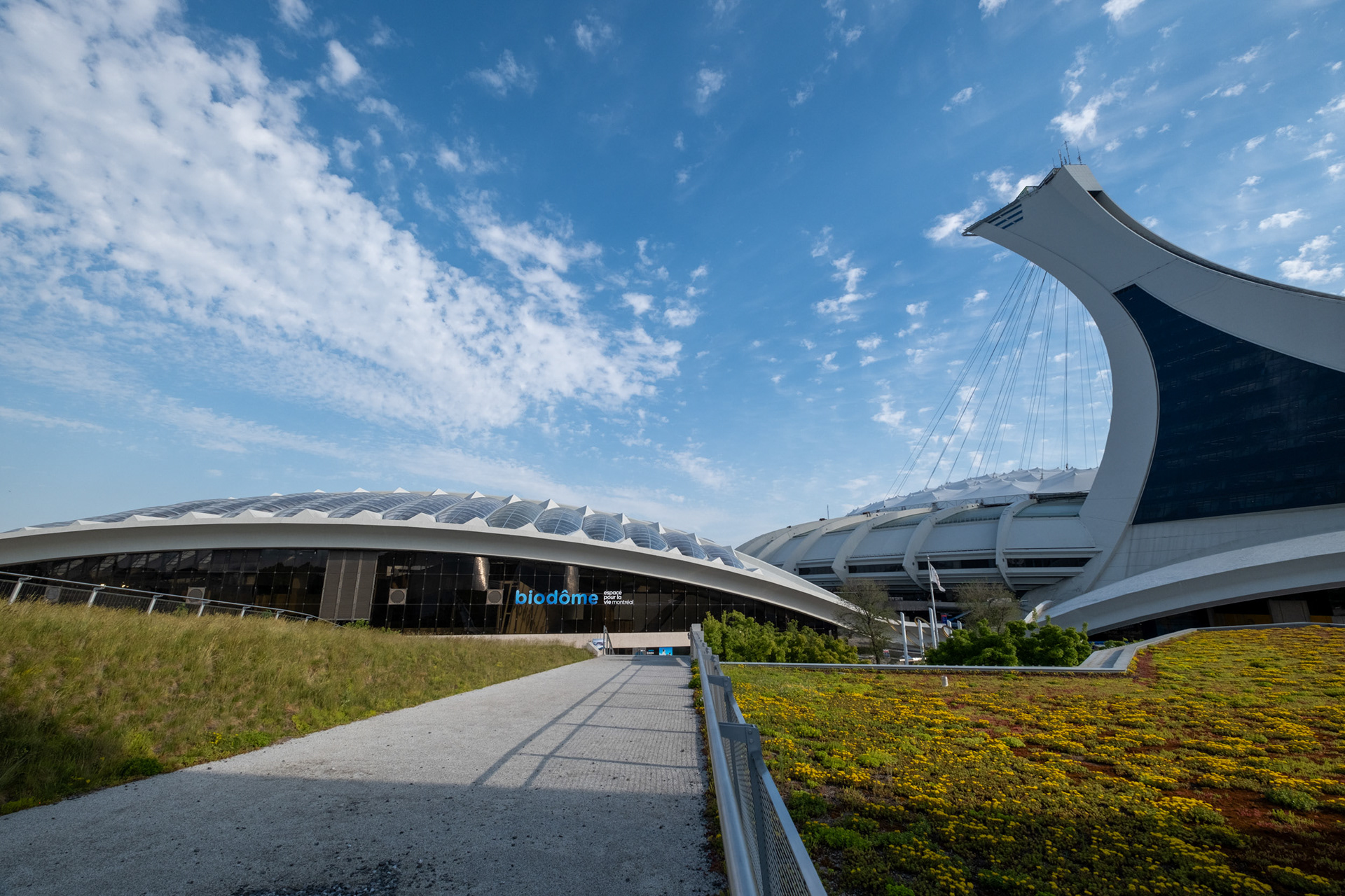 The Montreal Tower - Biodome