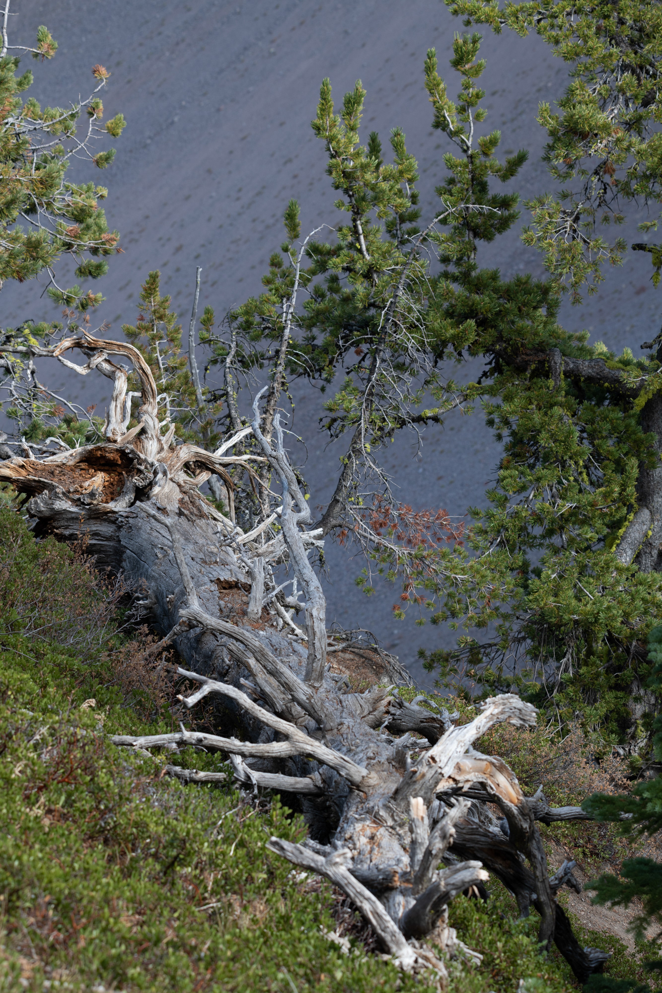 Crater Lake National Park