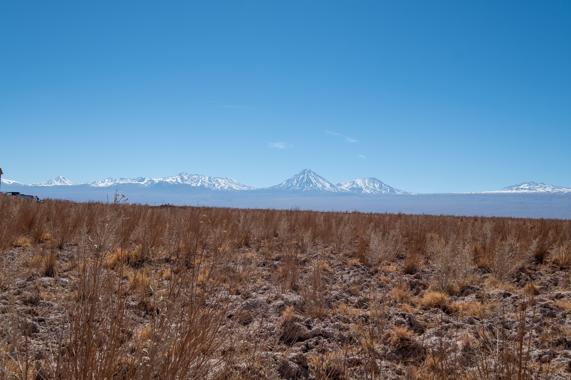 Laguna Cejar